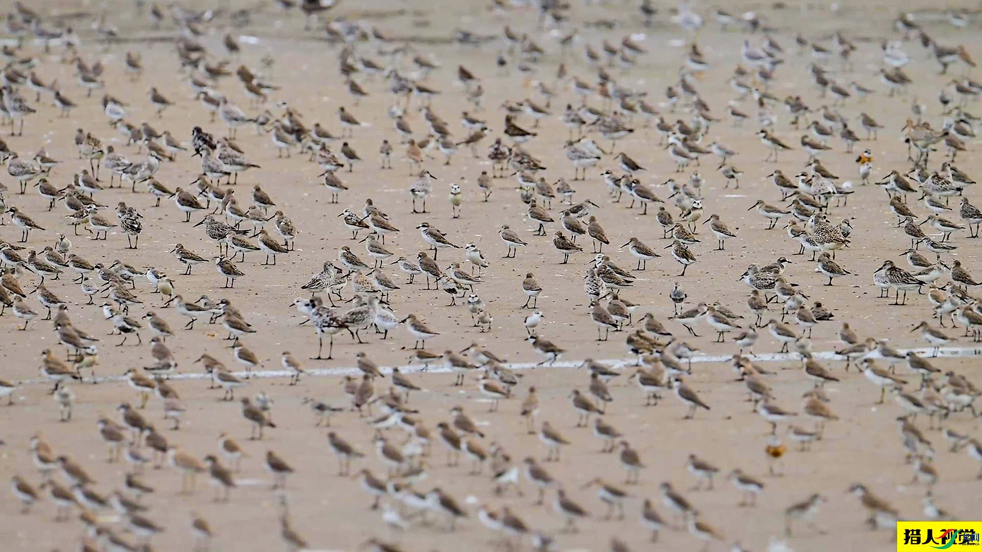 11��22�� (2)(1)-����.jpg