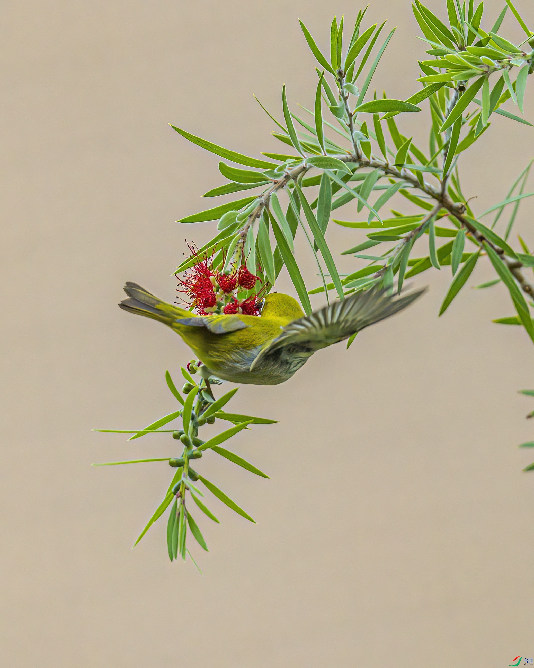 ���ղ���