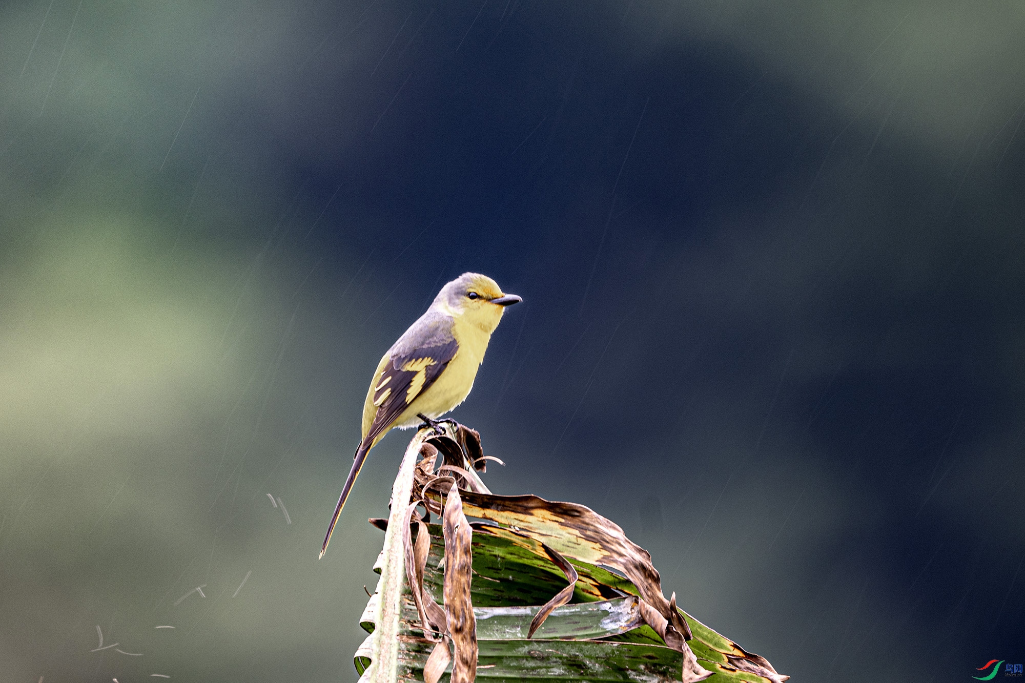 DSC_8979.jpg
