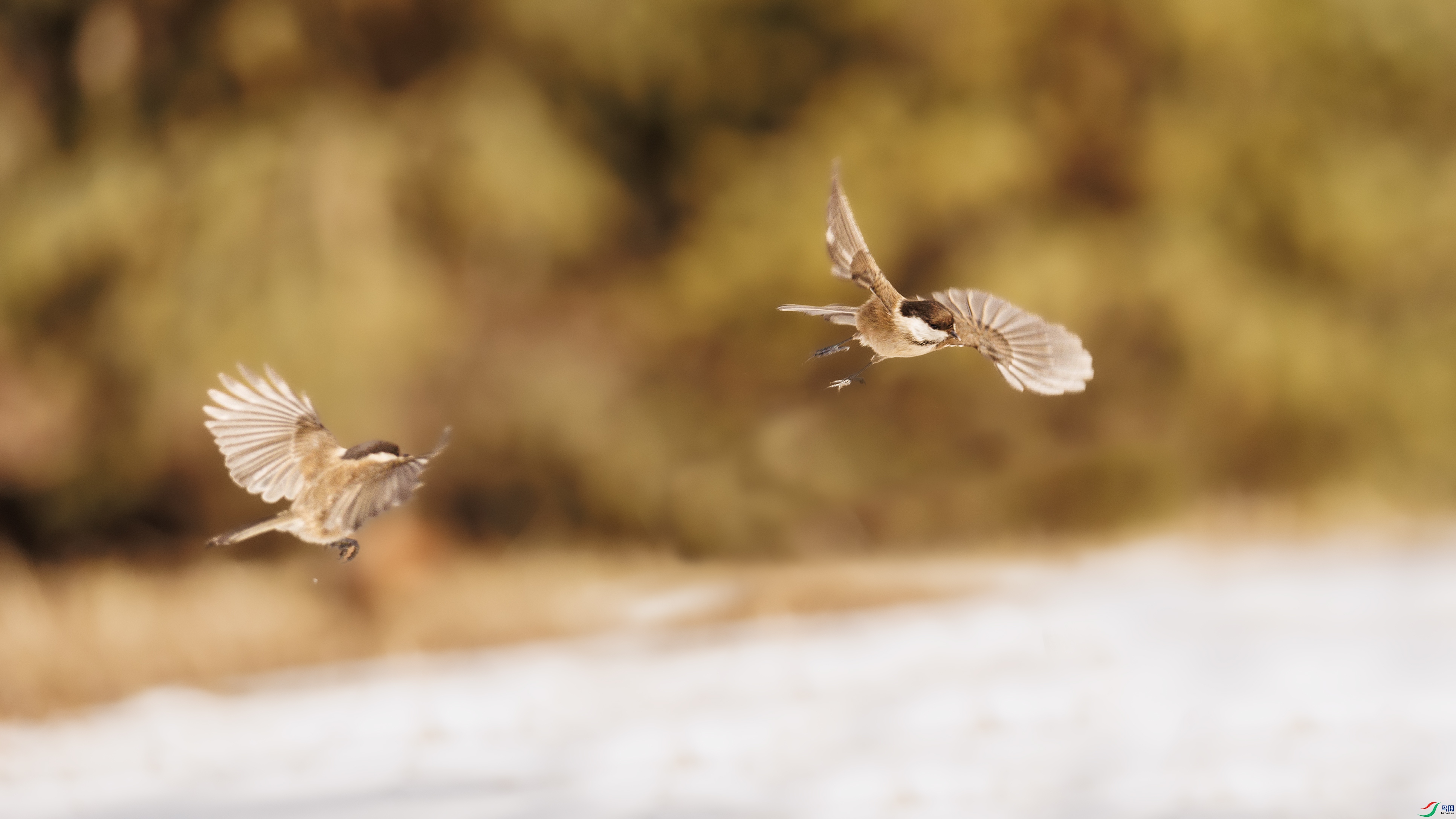 7X5A0631 ����4444.jpg