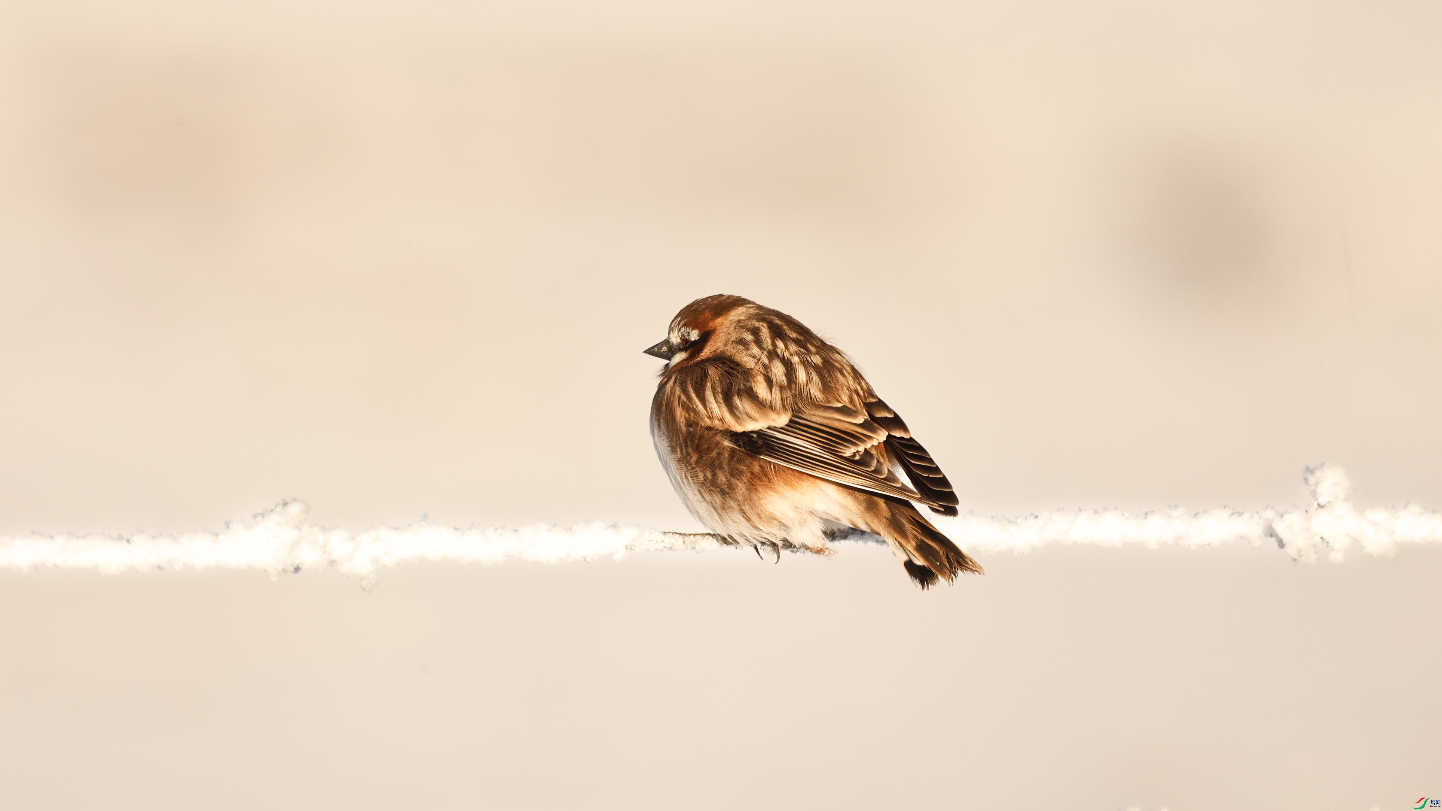 7X5A0681 ����.jpg