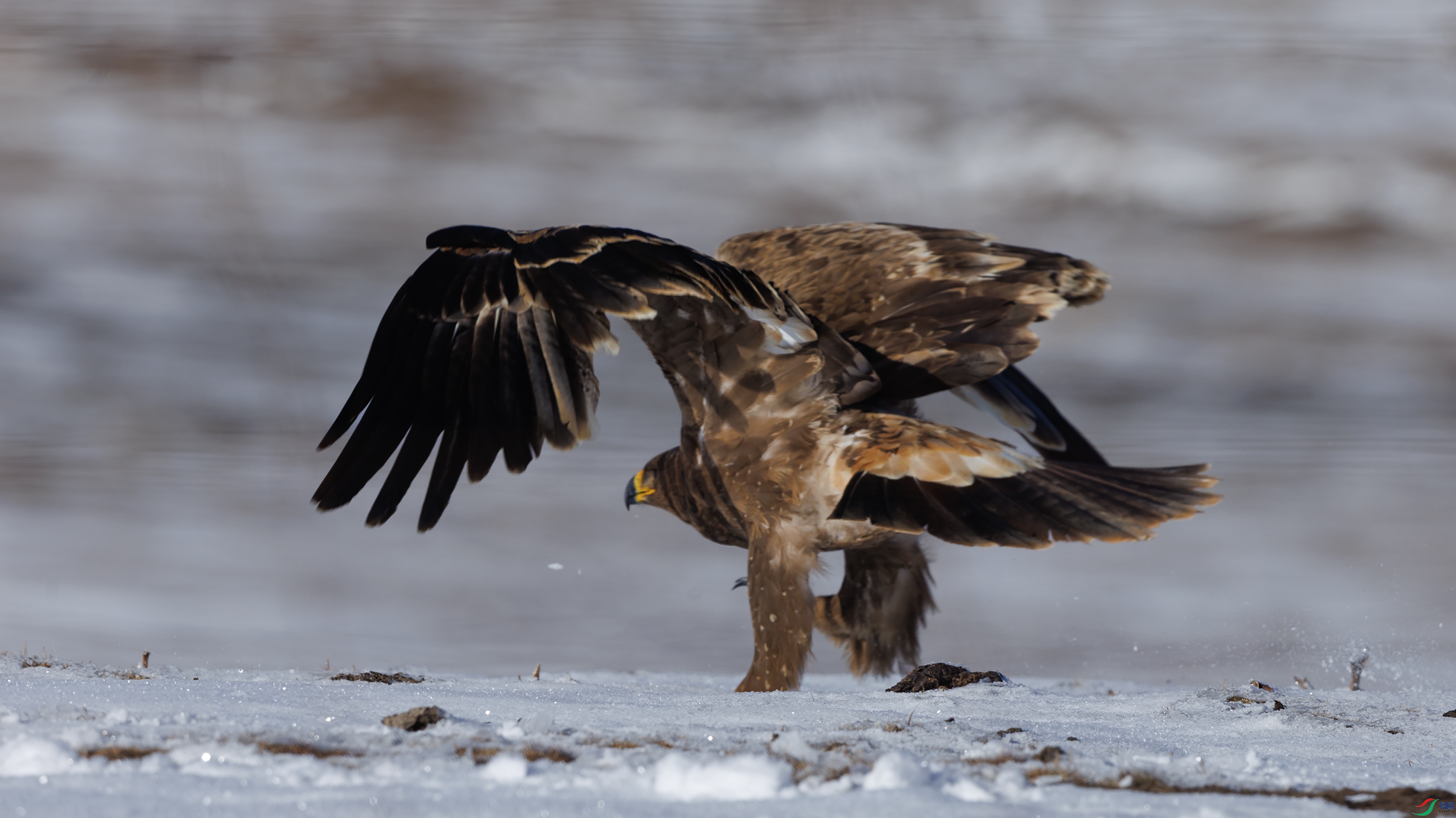 7X5A1411 ����444444.jpg