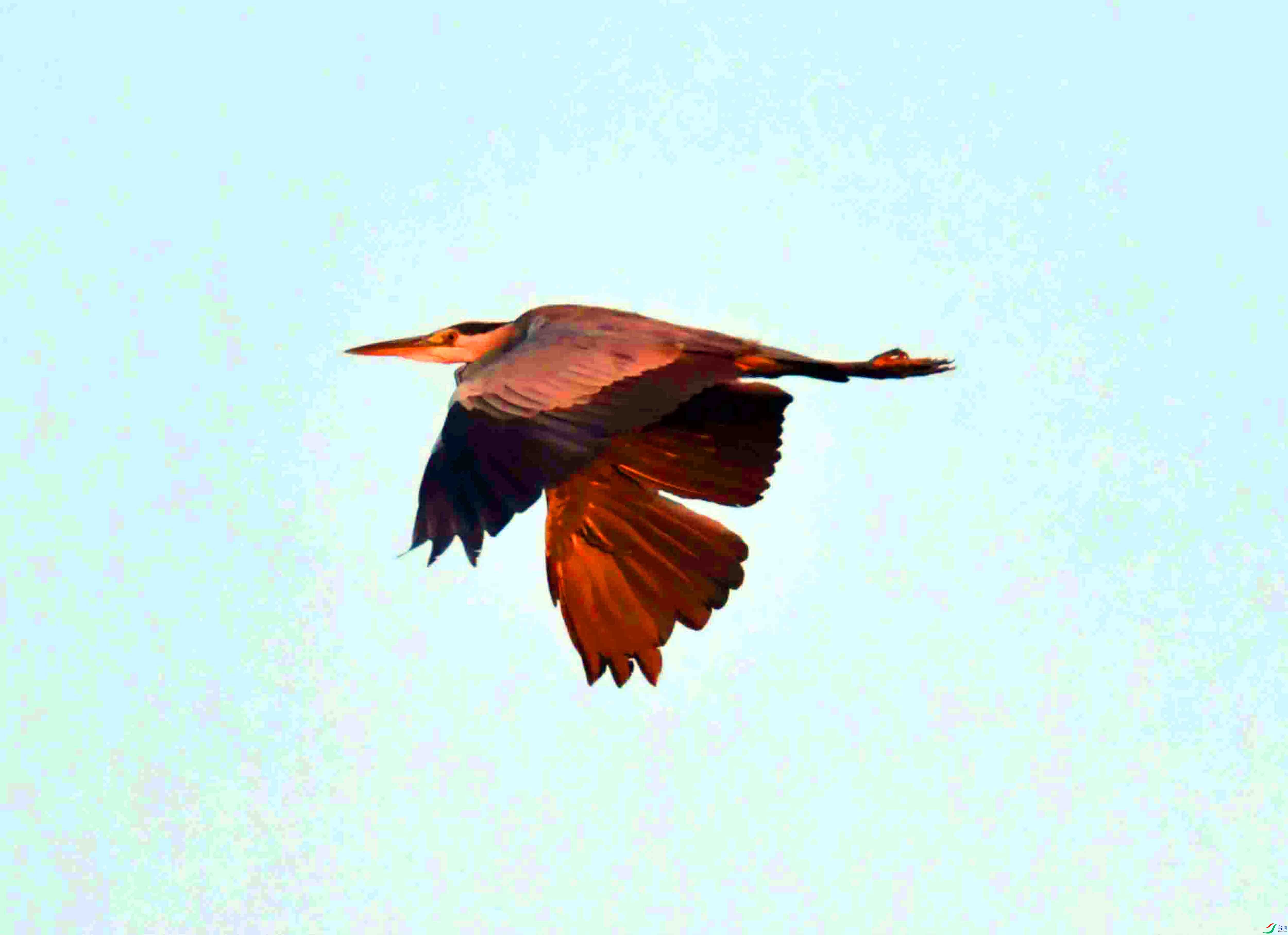 DSC_9495.JPG