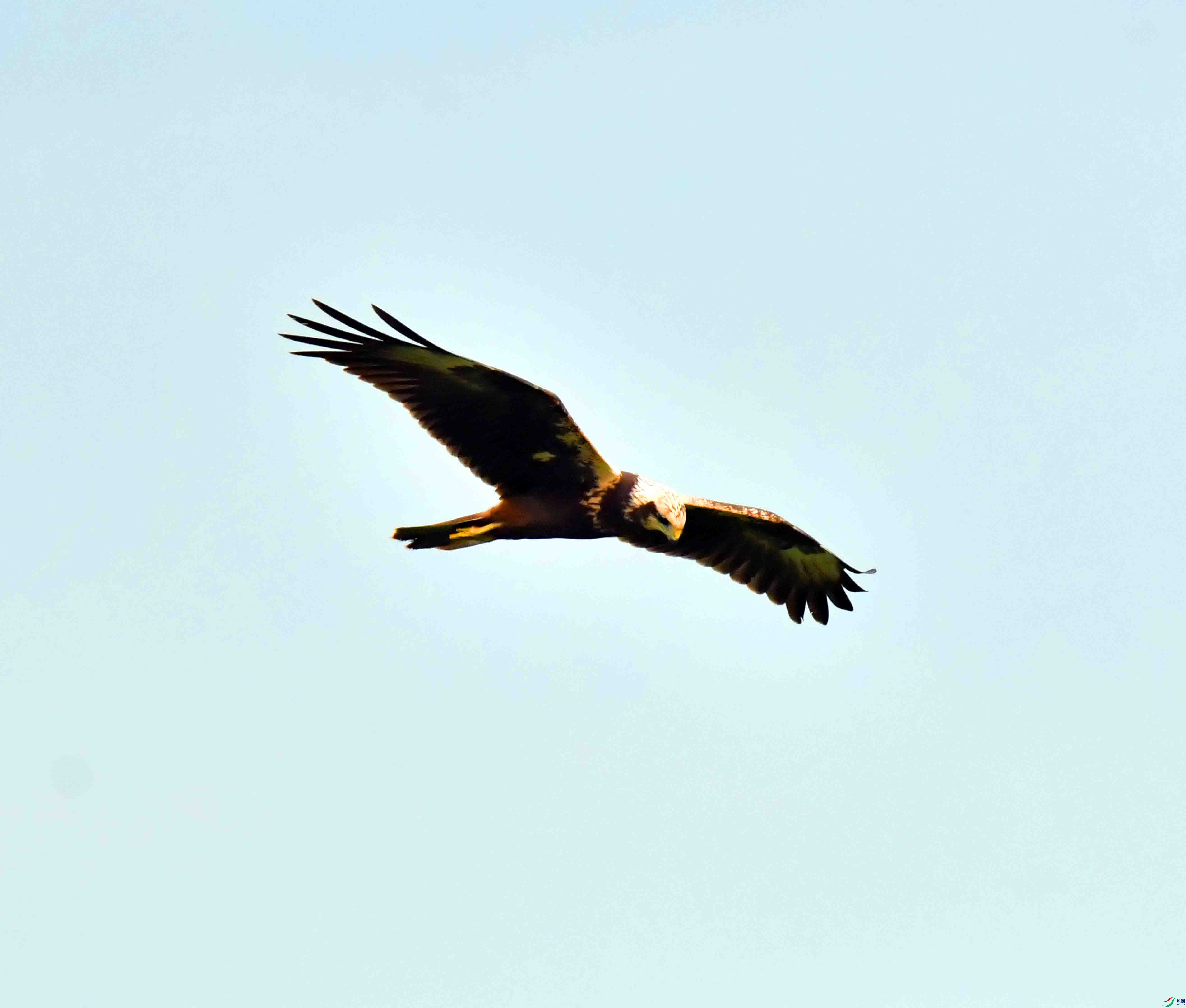 DSC_7643.JPG