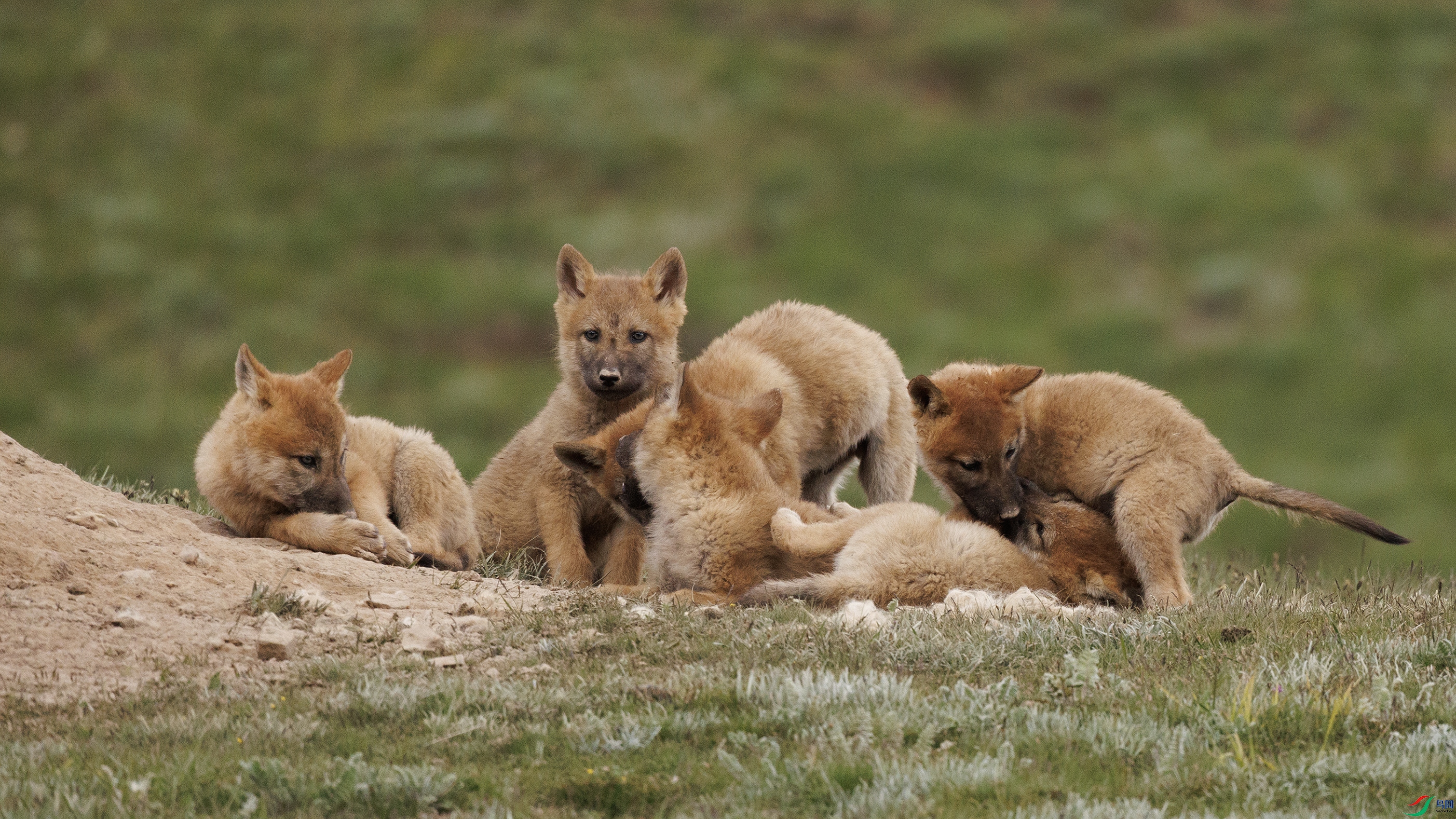 7X5A6836 ����44444.jpg