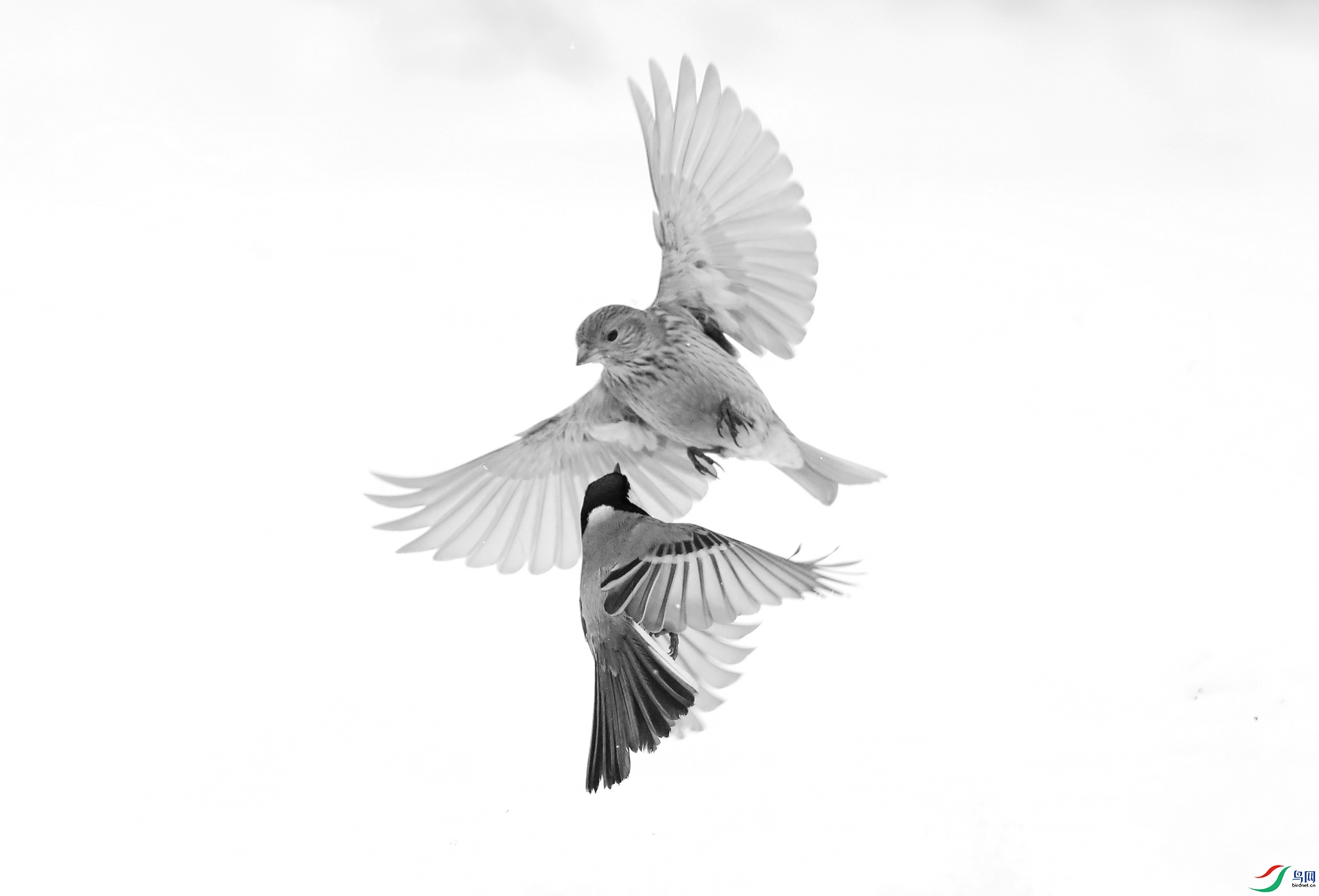 9G8A6927 ����.jpg