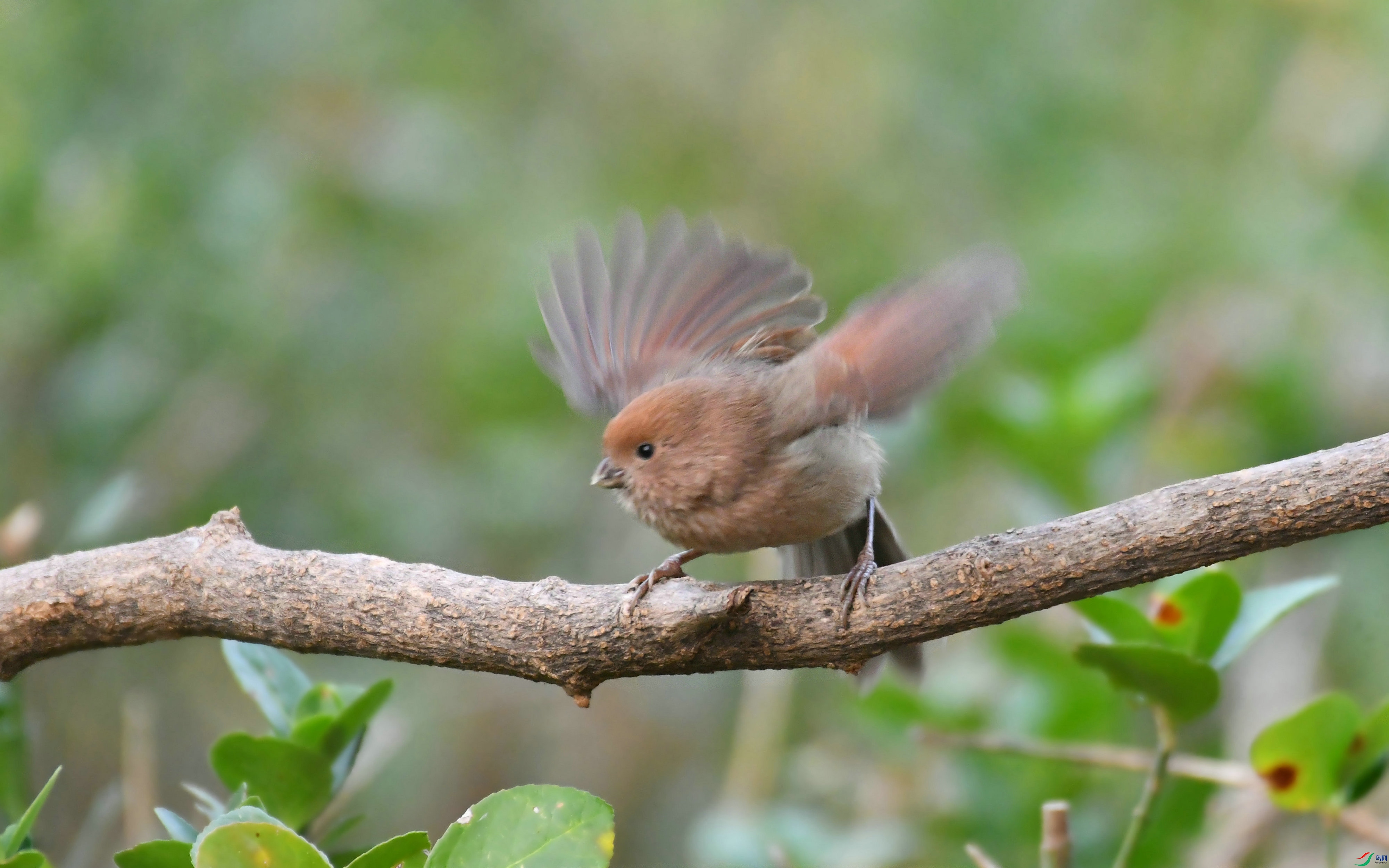 DSC_7074.JPG