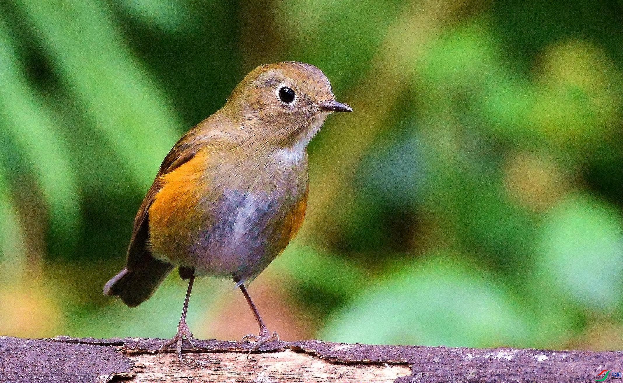 DSC_1053.JPG