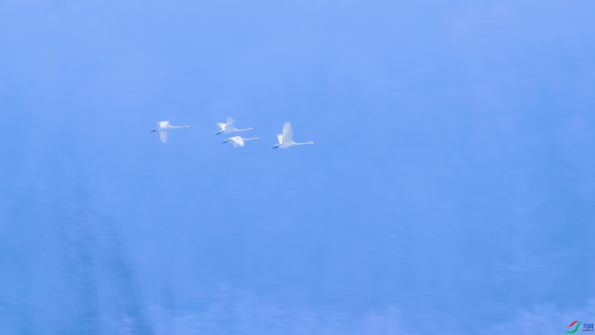 _DSC3161-����ǿ-NR ����С.jpg