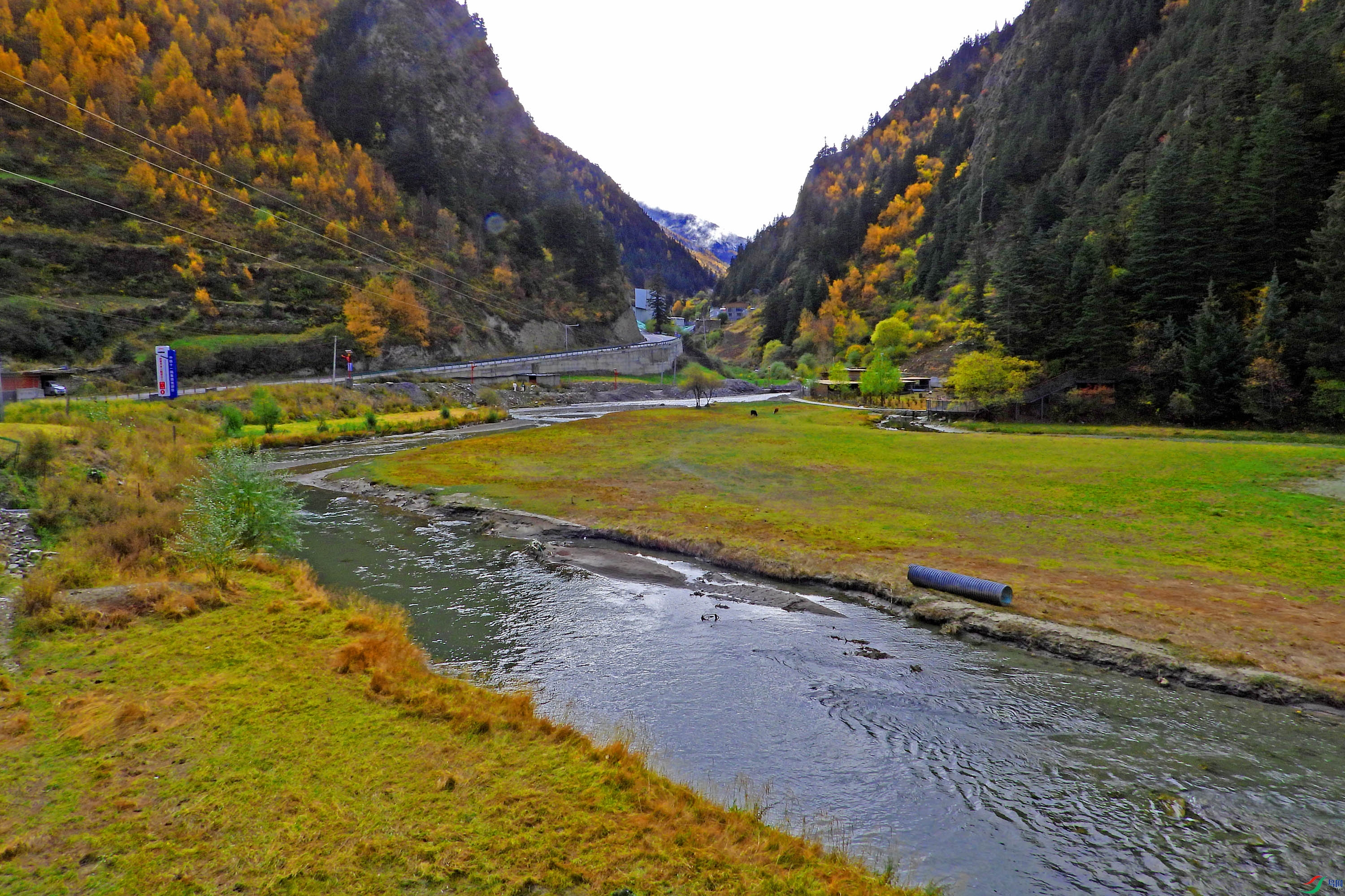 DSCN4791.JPG