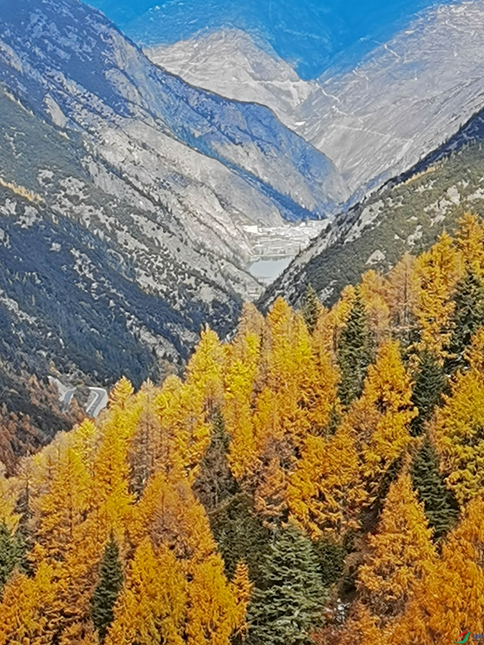 DSCN4793.jpg