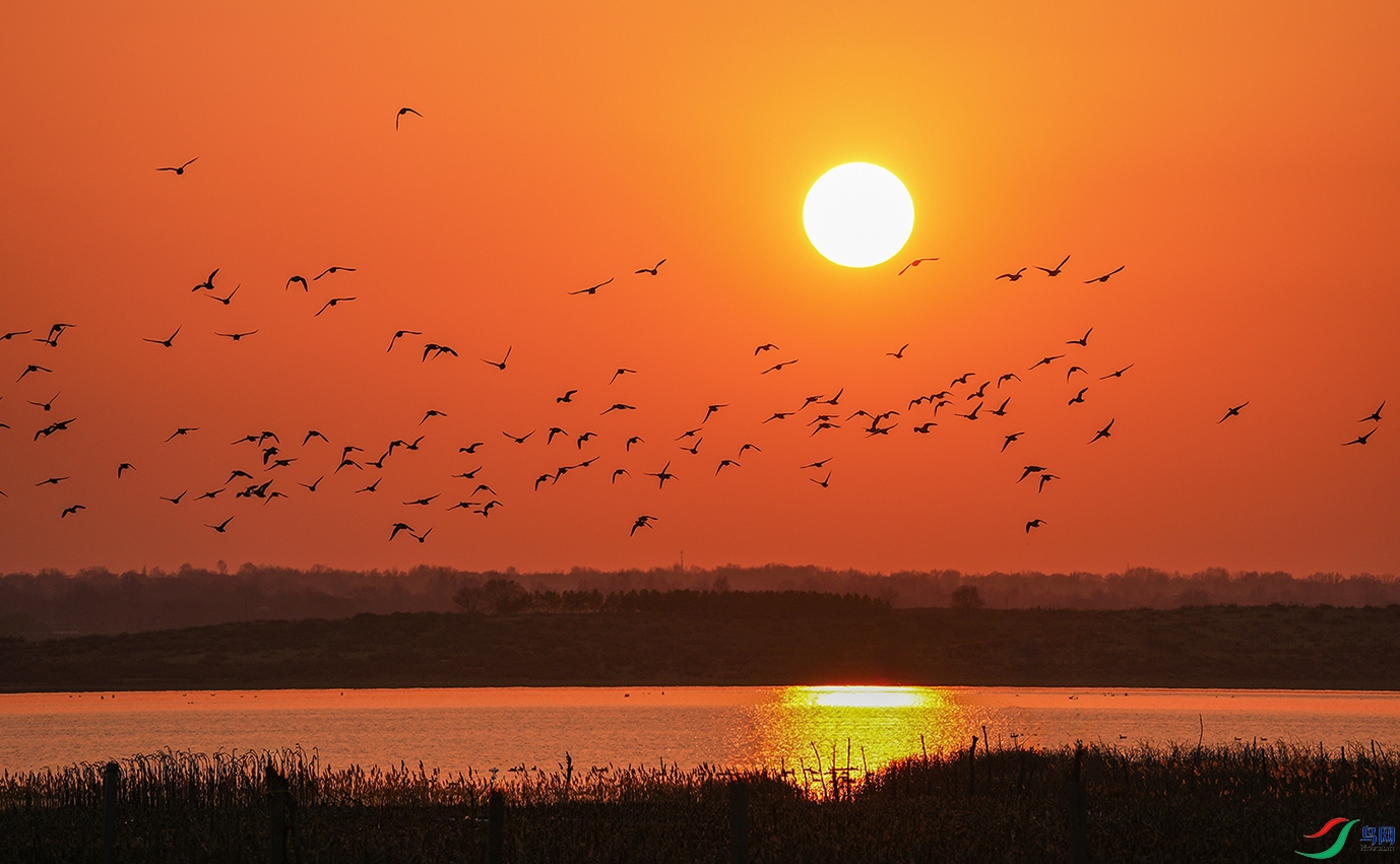 DSC04827 ����.jpg