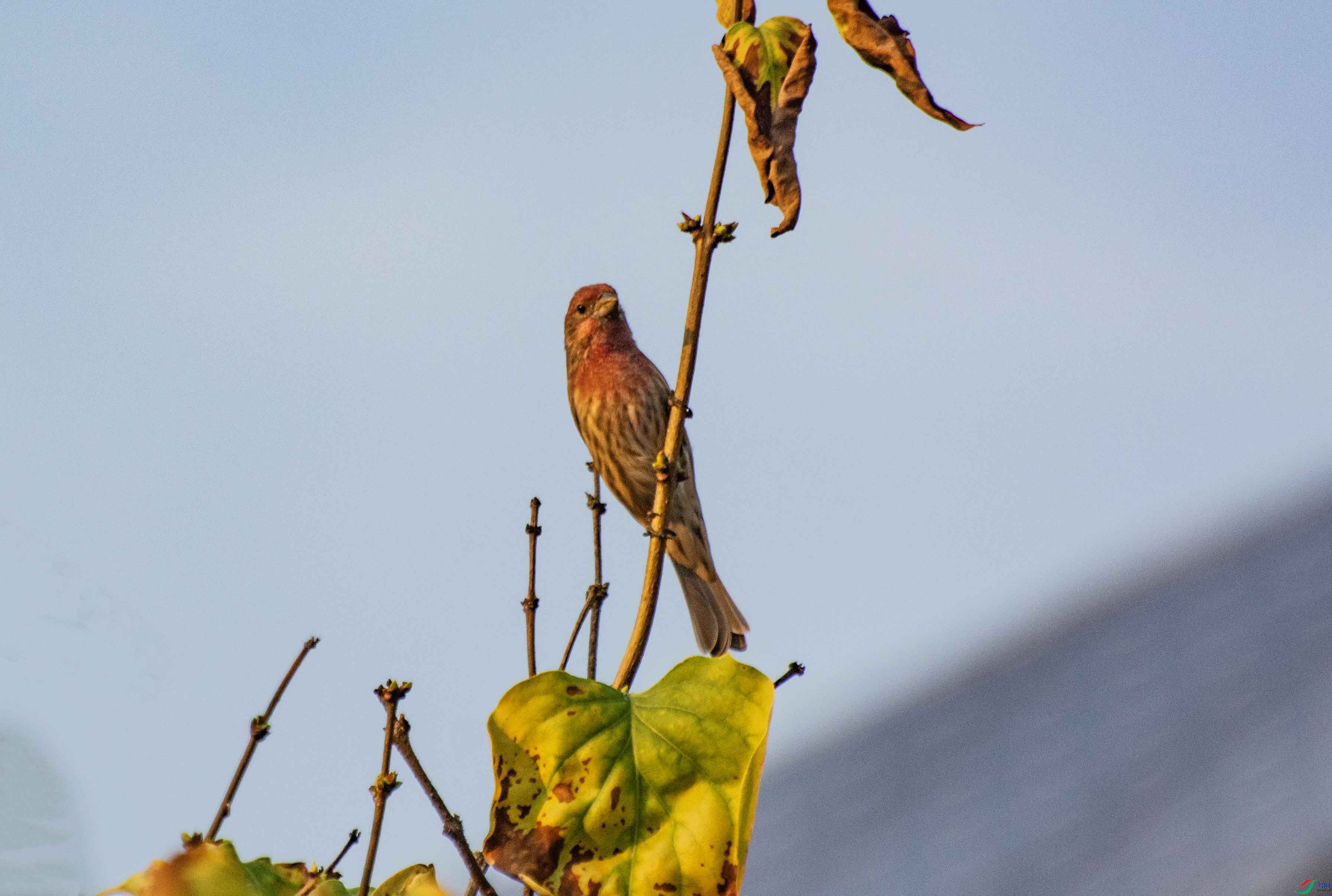 DSC_1262.jpg