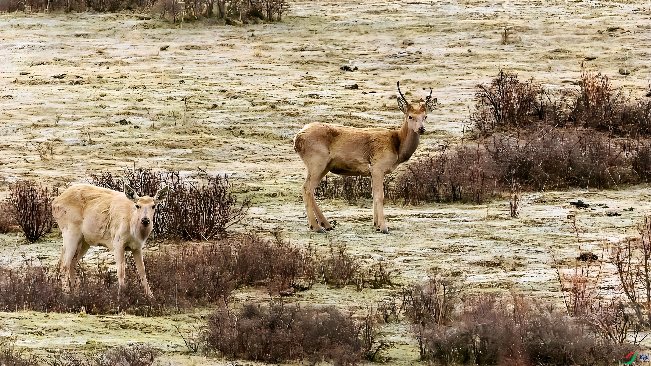 _DSC5617.jpgps2_����-topaz-enhance_����_����_����.jpg