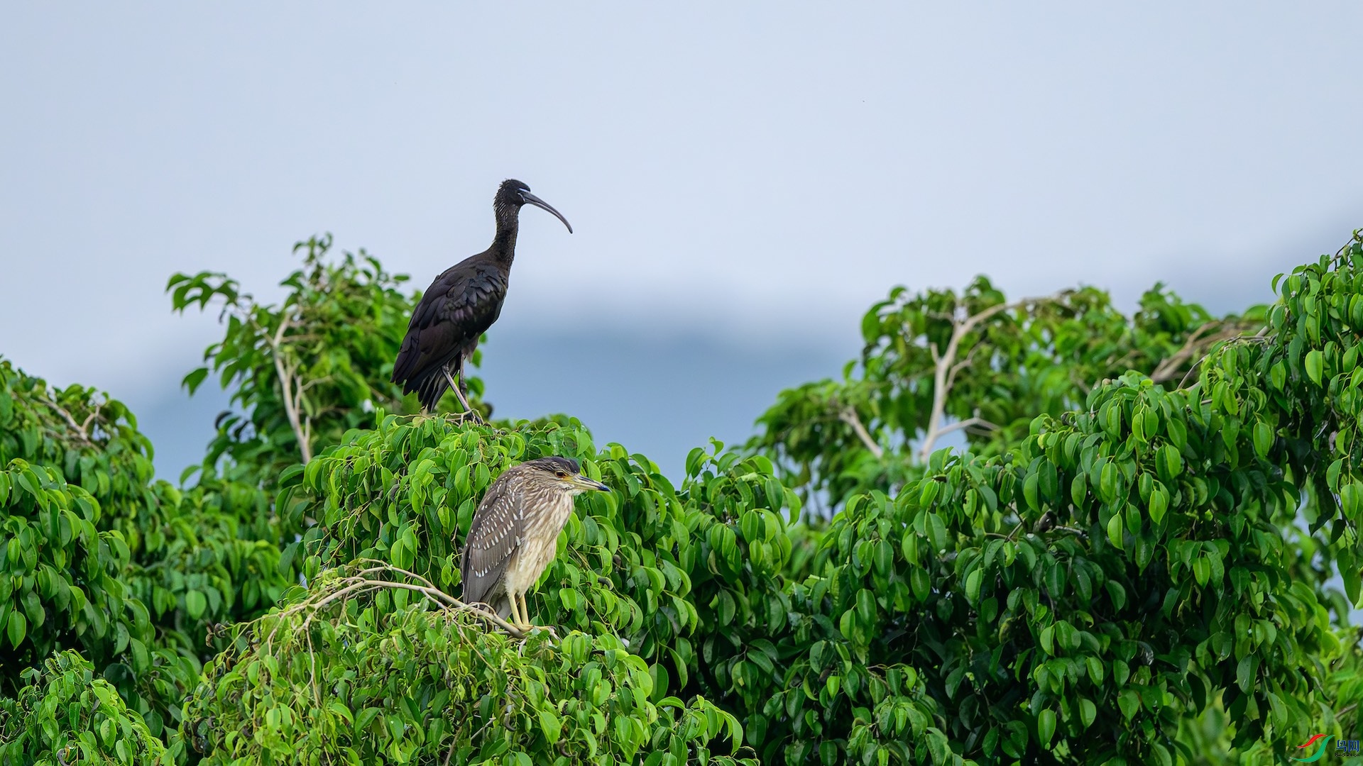 1_DSC7281-����ǿ-NR ����.jpeg