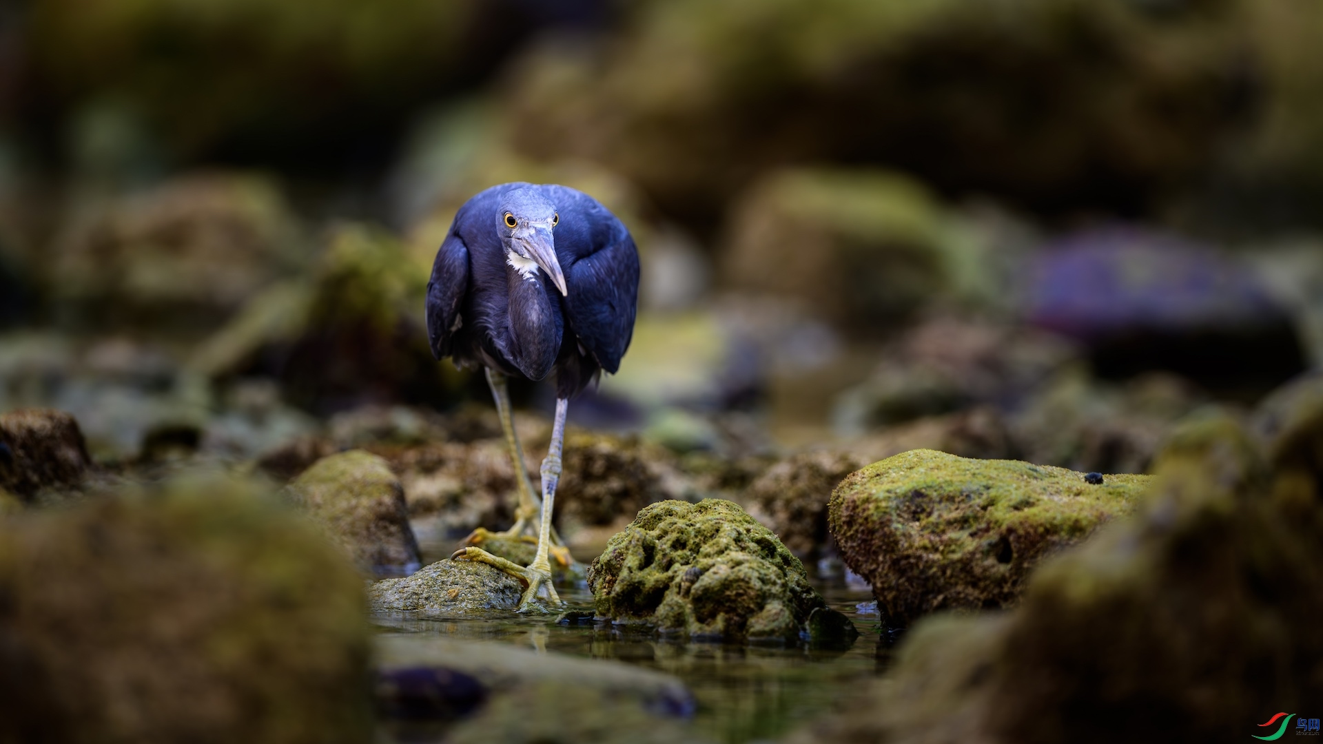 1_XXL5616-����ǿ-NR ����.jpeg