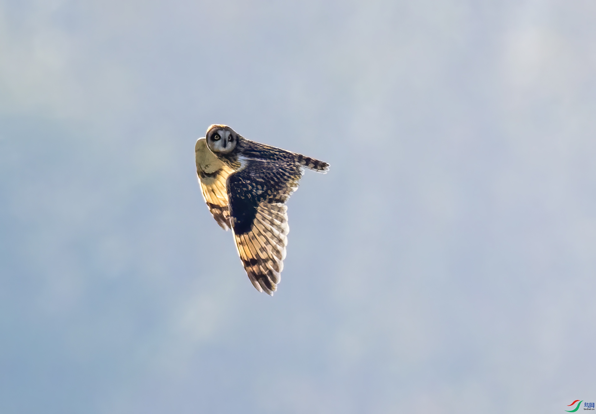 DSC_1523.jpg