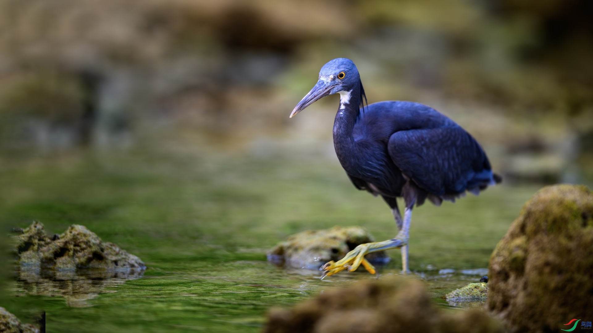 1_XXL5638-����ǿ-NR ����.jpeg