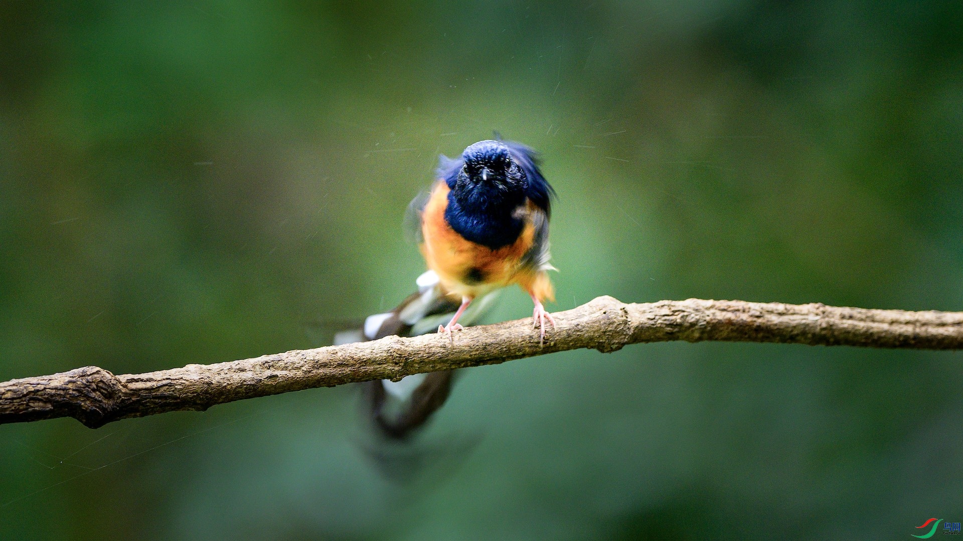 1_XXL6430 ����.jpeg