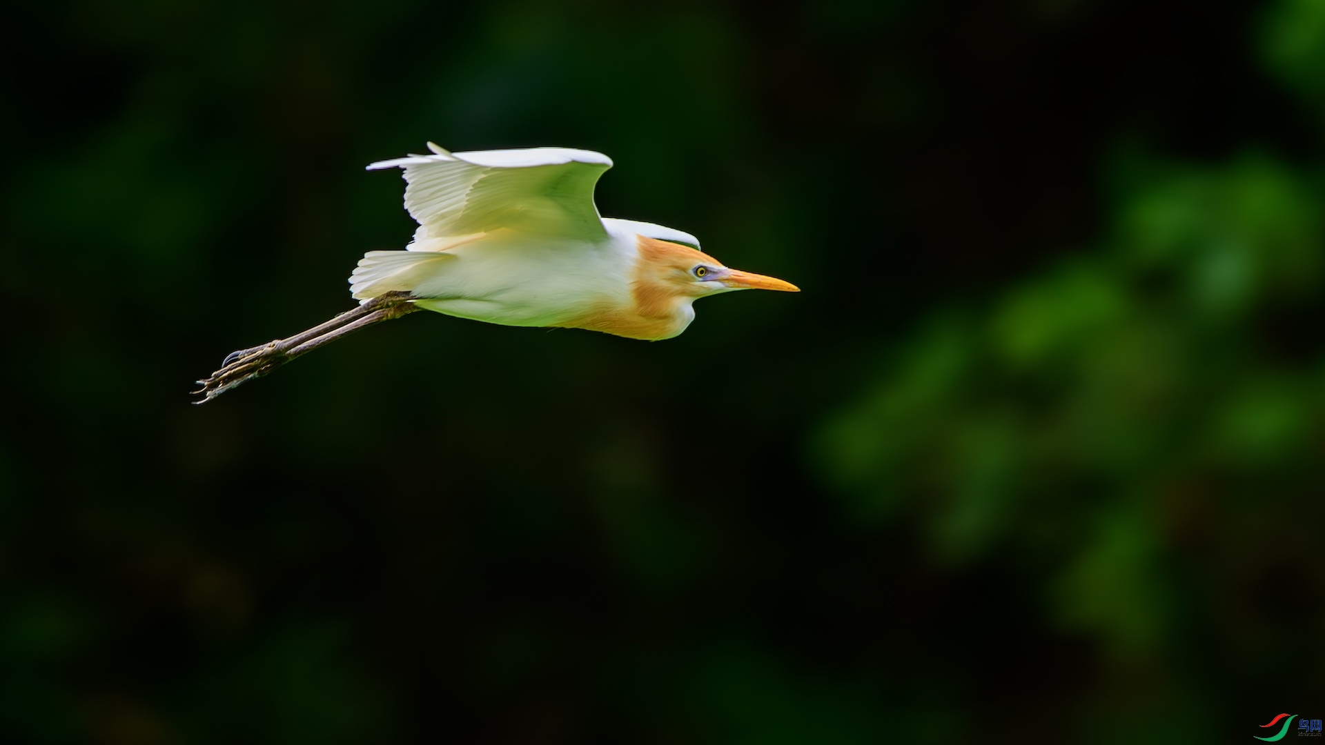 1_XXL8567-����ǿ-NR ����.jpeg