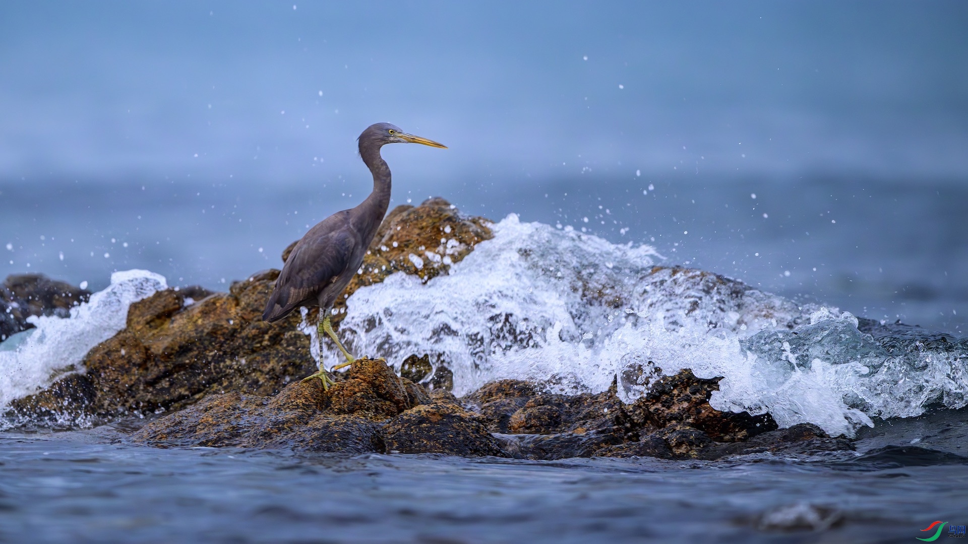 3_XXL4483-����ǿ-NR ����.jpeg