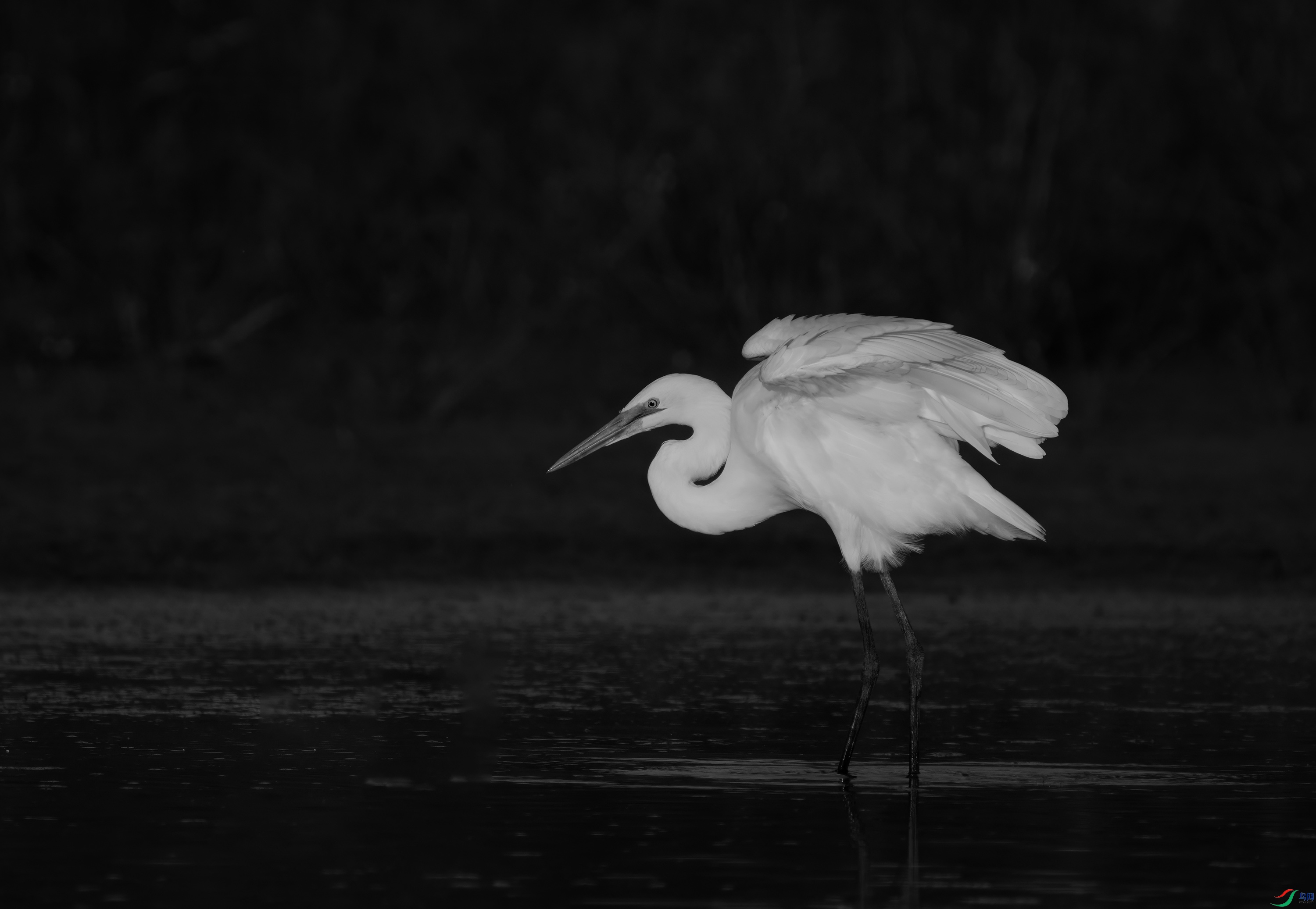 DSC09110 ����.jpg