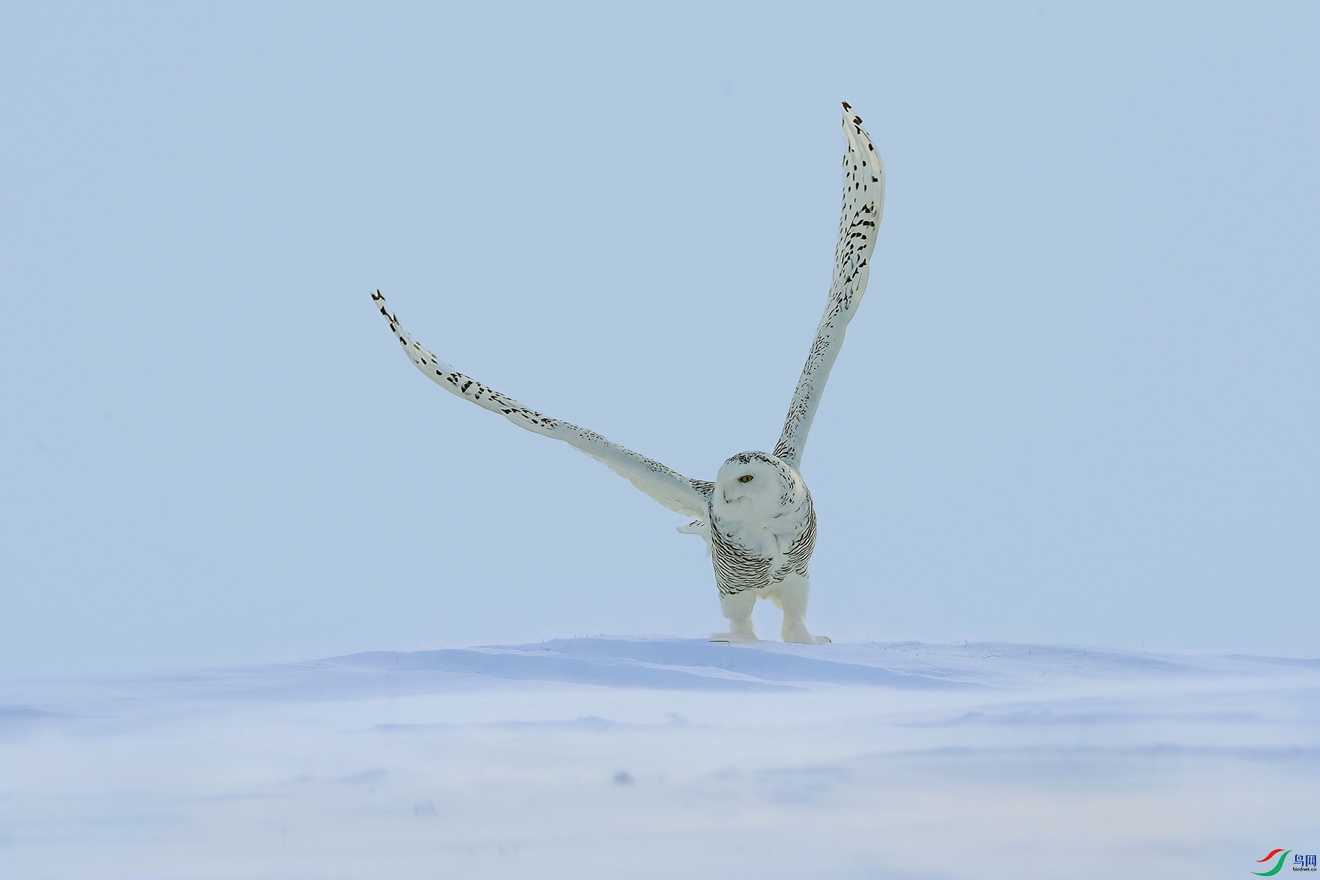 _DSC9277.jpg