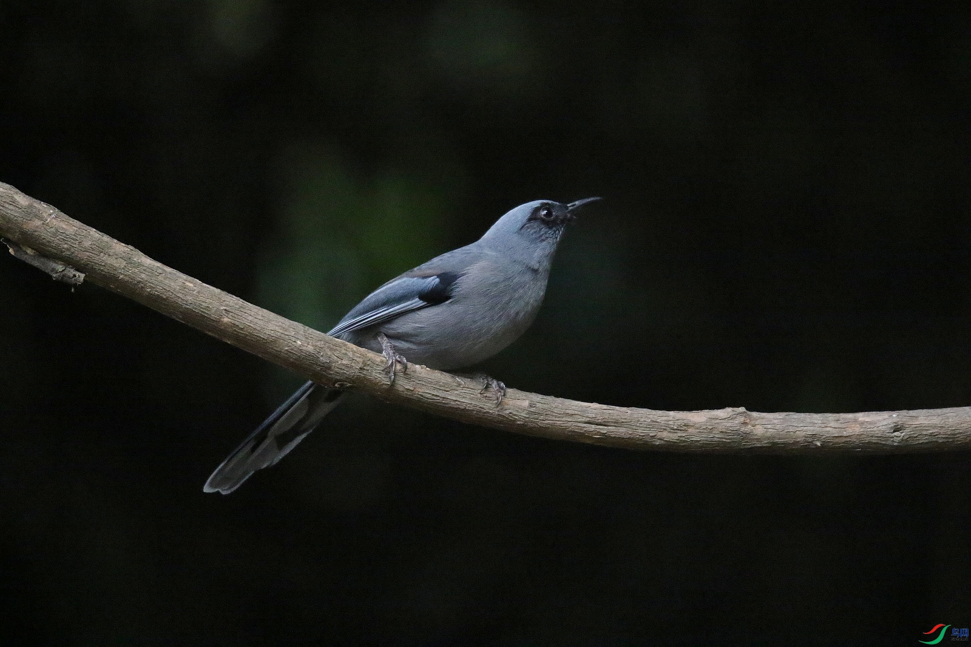 0F4A1393-1.JPG