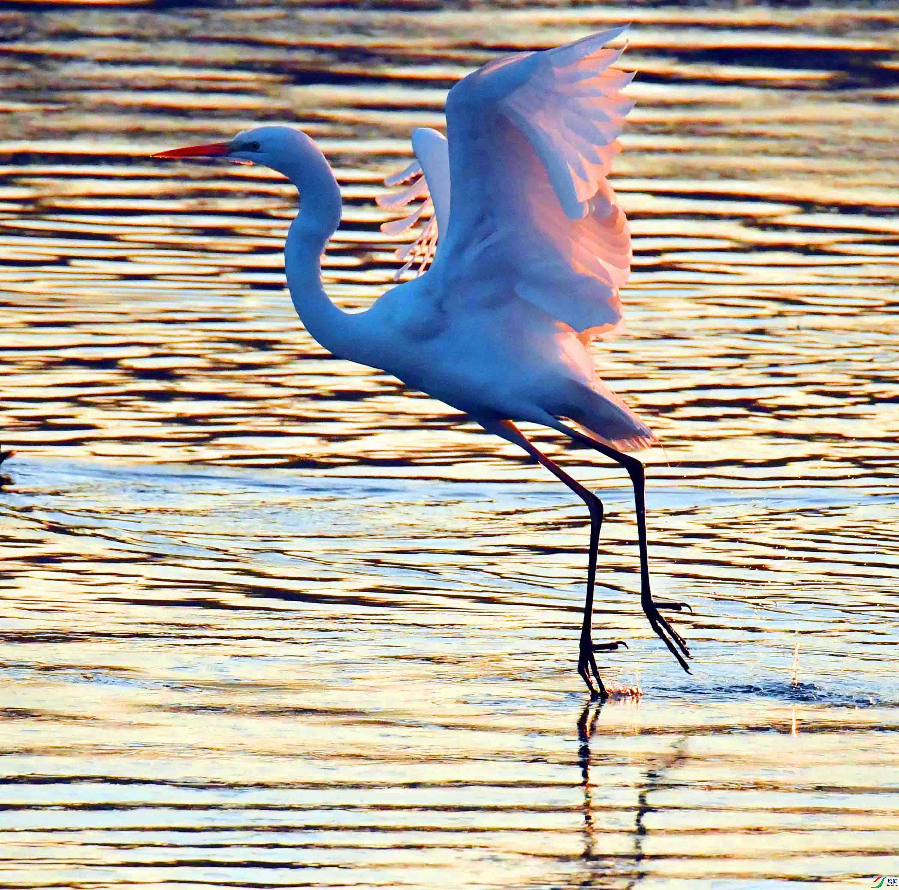 DSC_0922.JPG