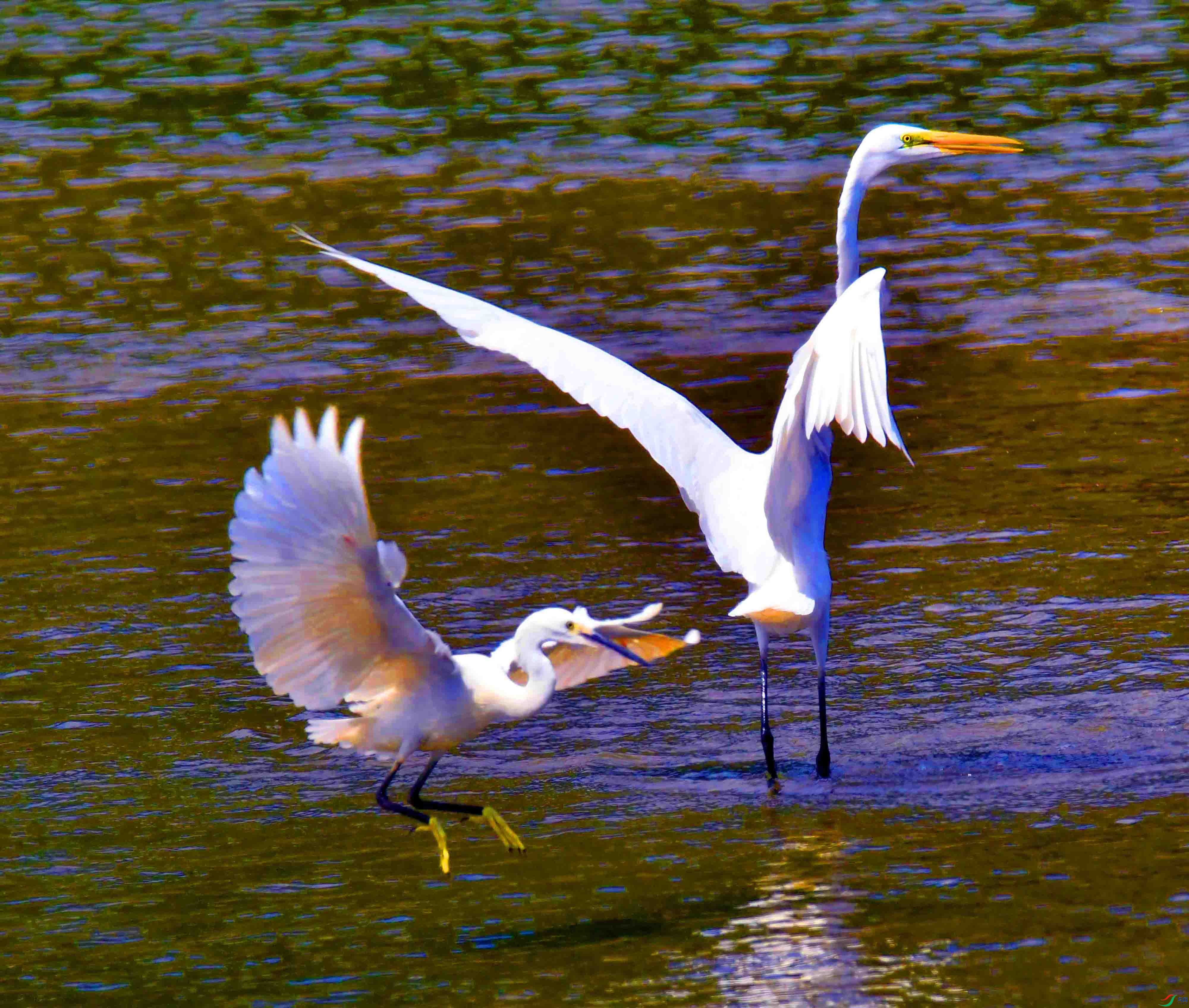DSC_5858.JPG