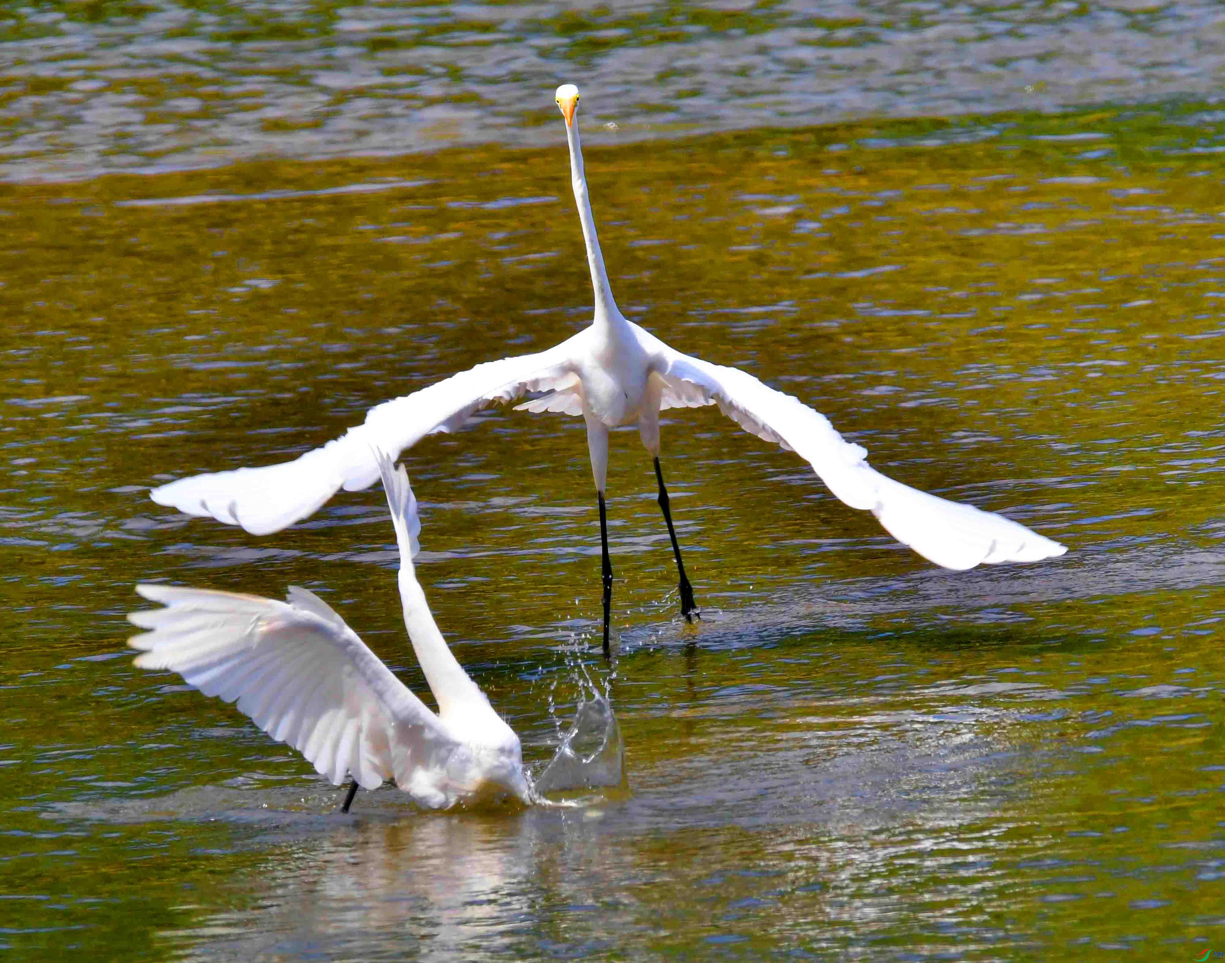 DSC_5861.JPG