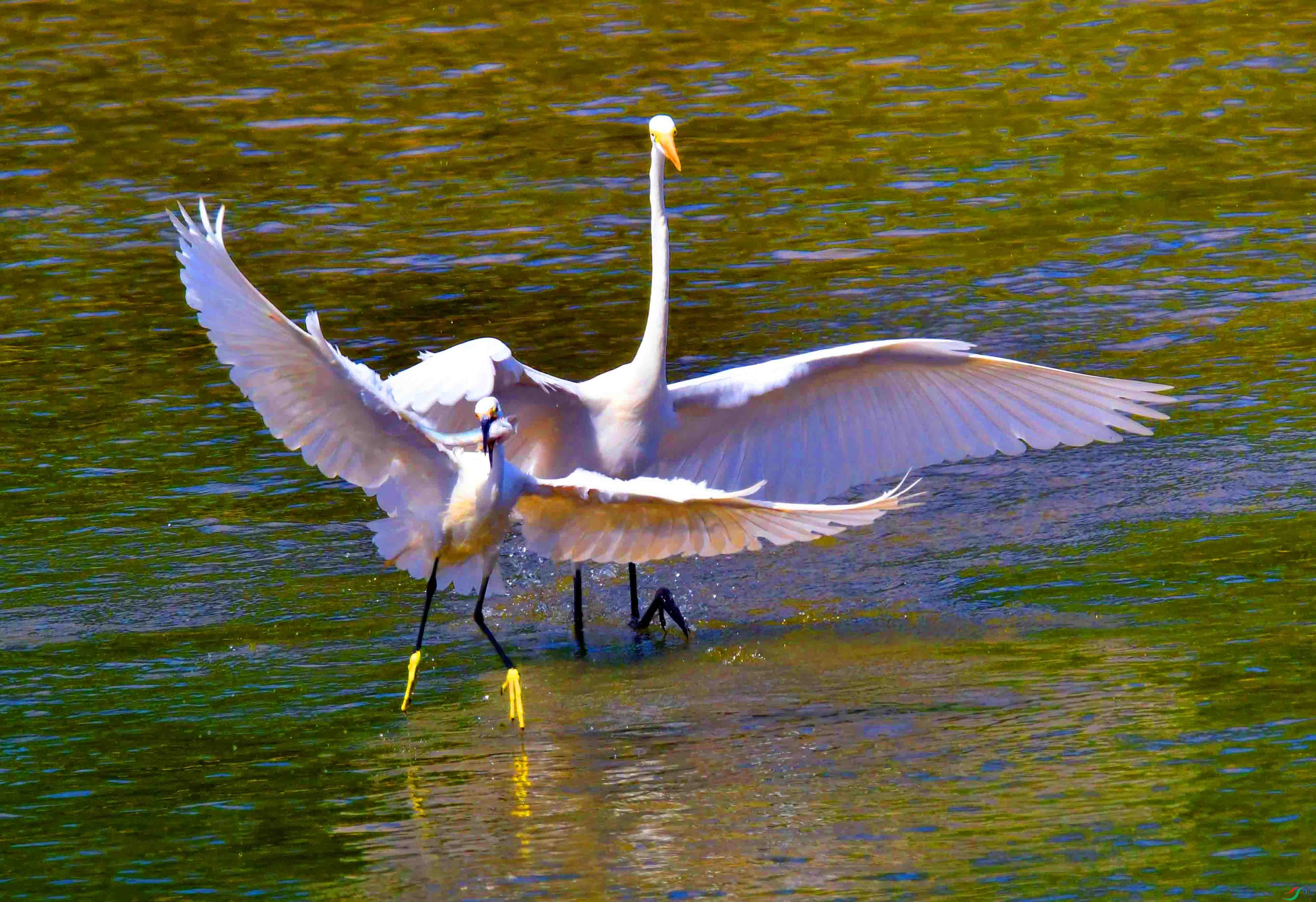 DSC_5866.JPG