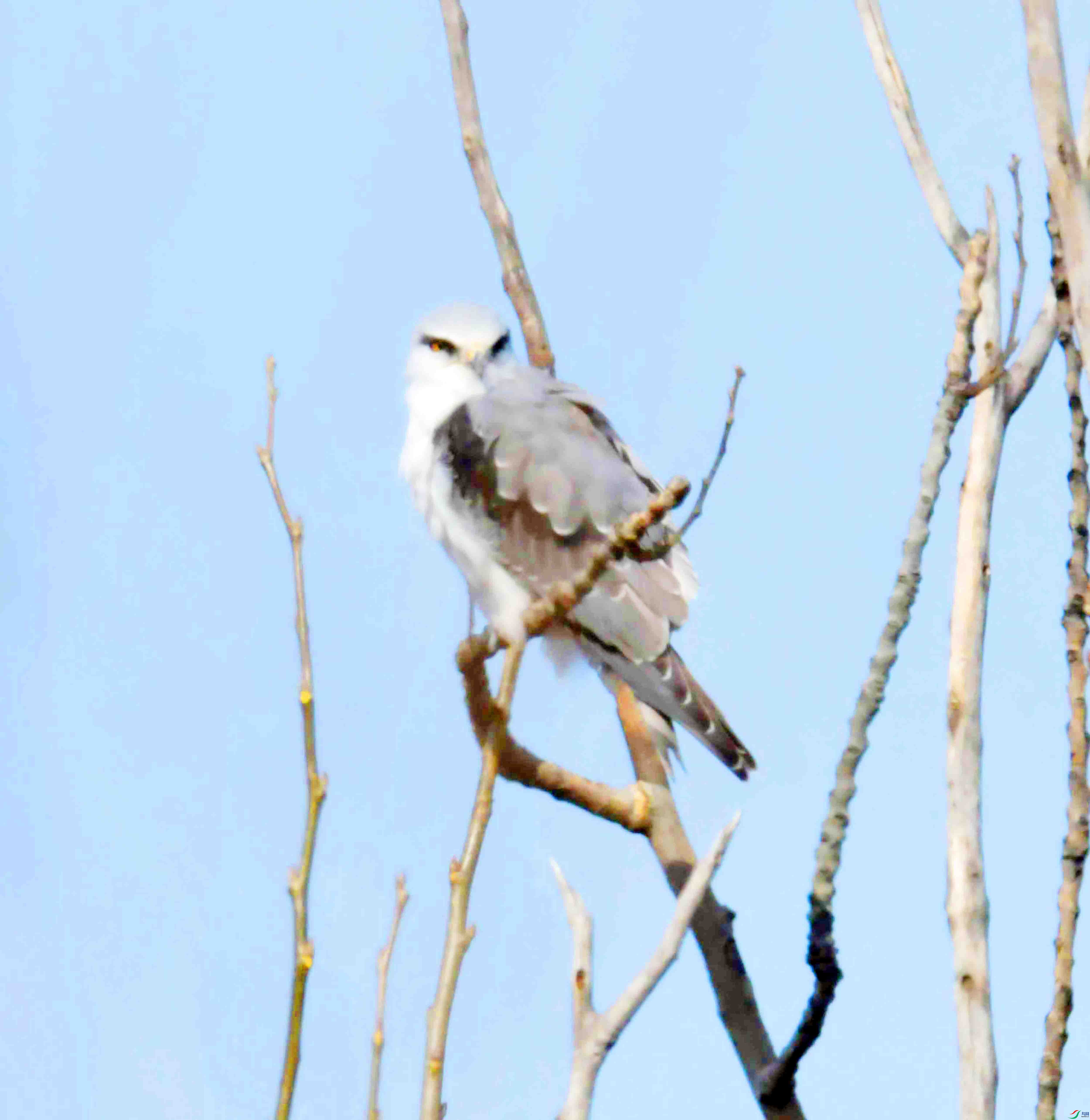 DSC_4631.JPG