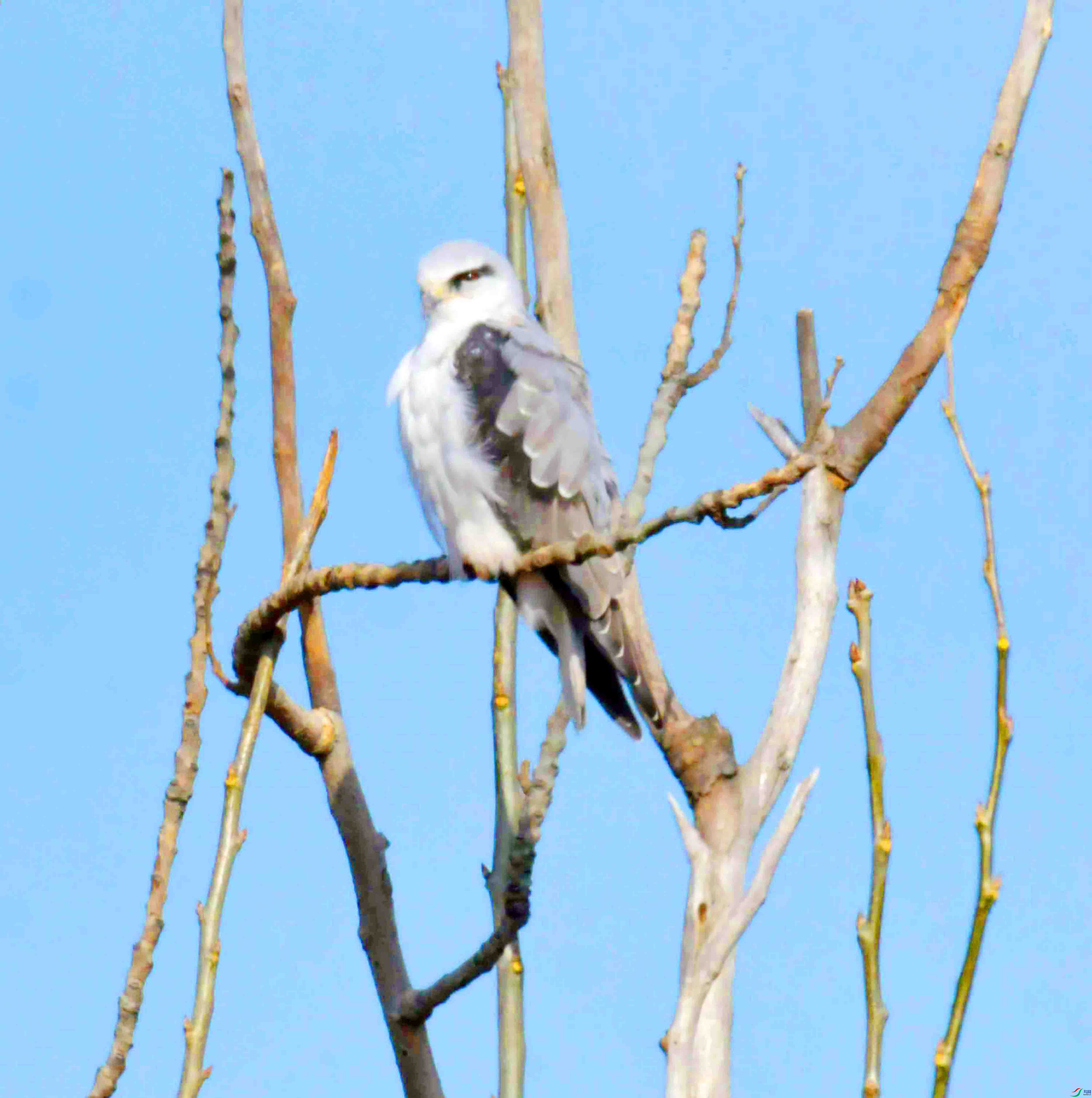 DSC_4649.JPG