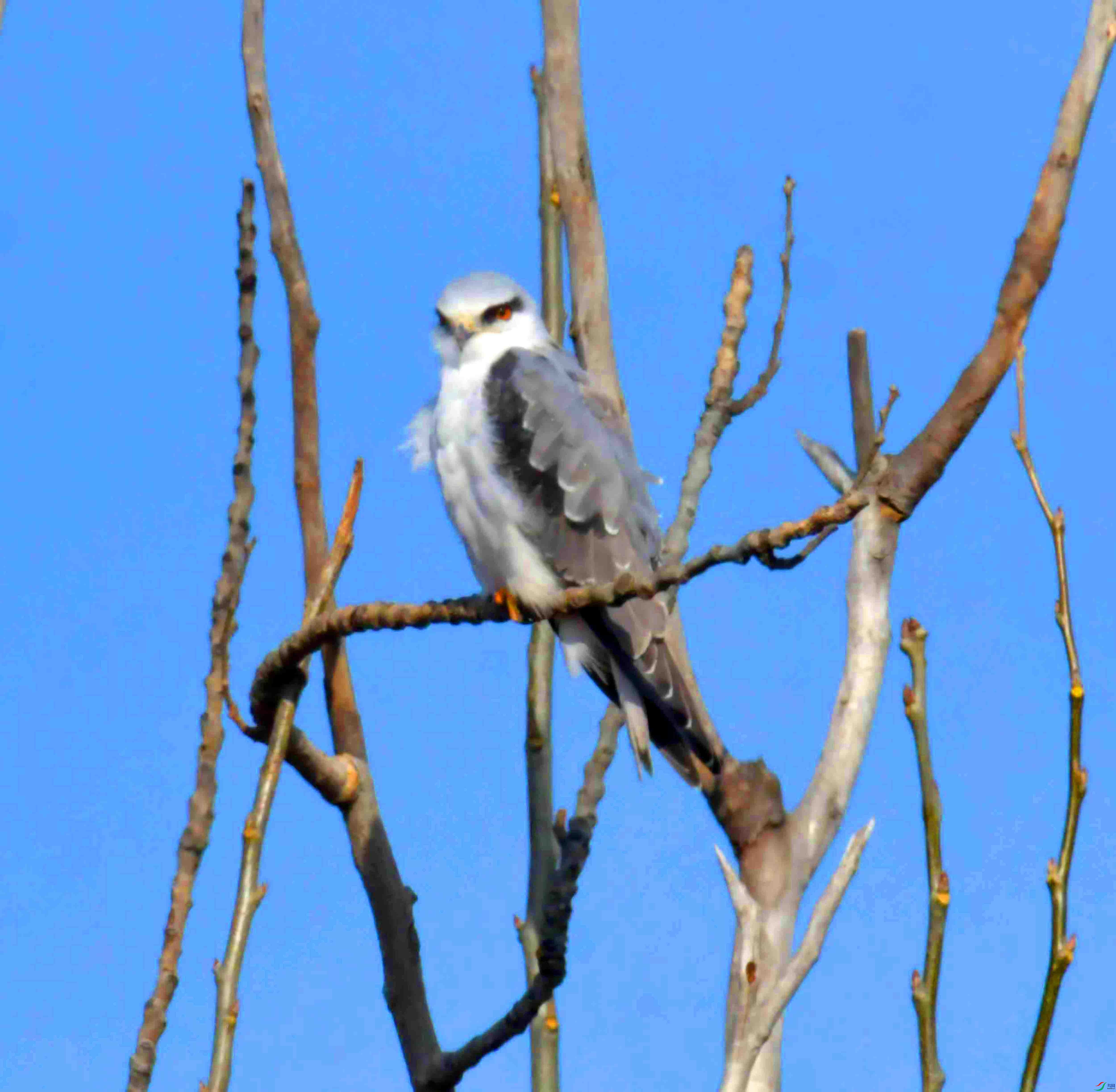 DSC_4667.JPG