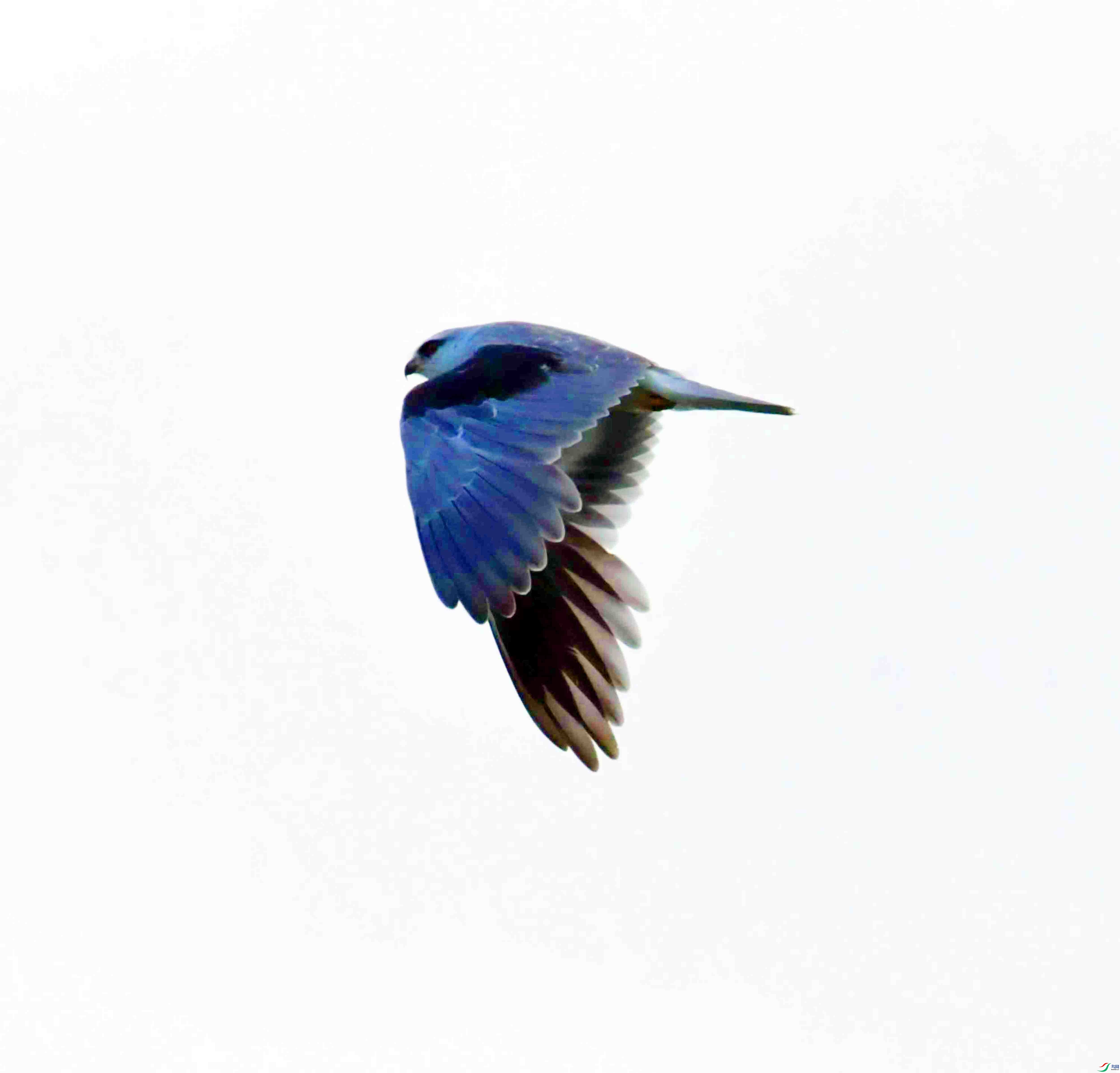 DSC_5110.JPG