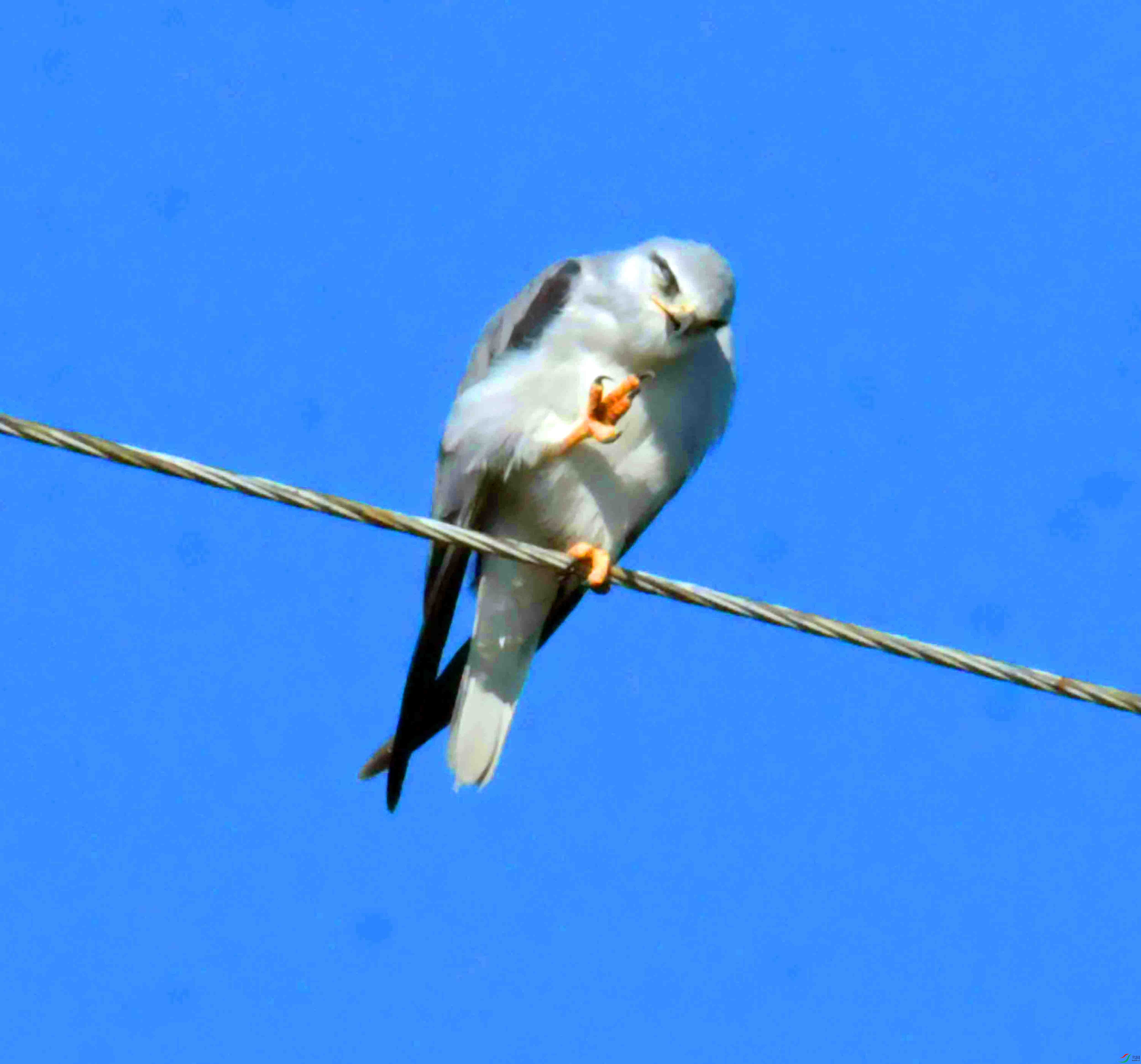 DSC_5832.JPG
