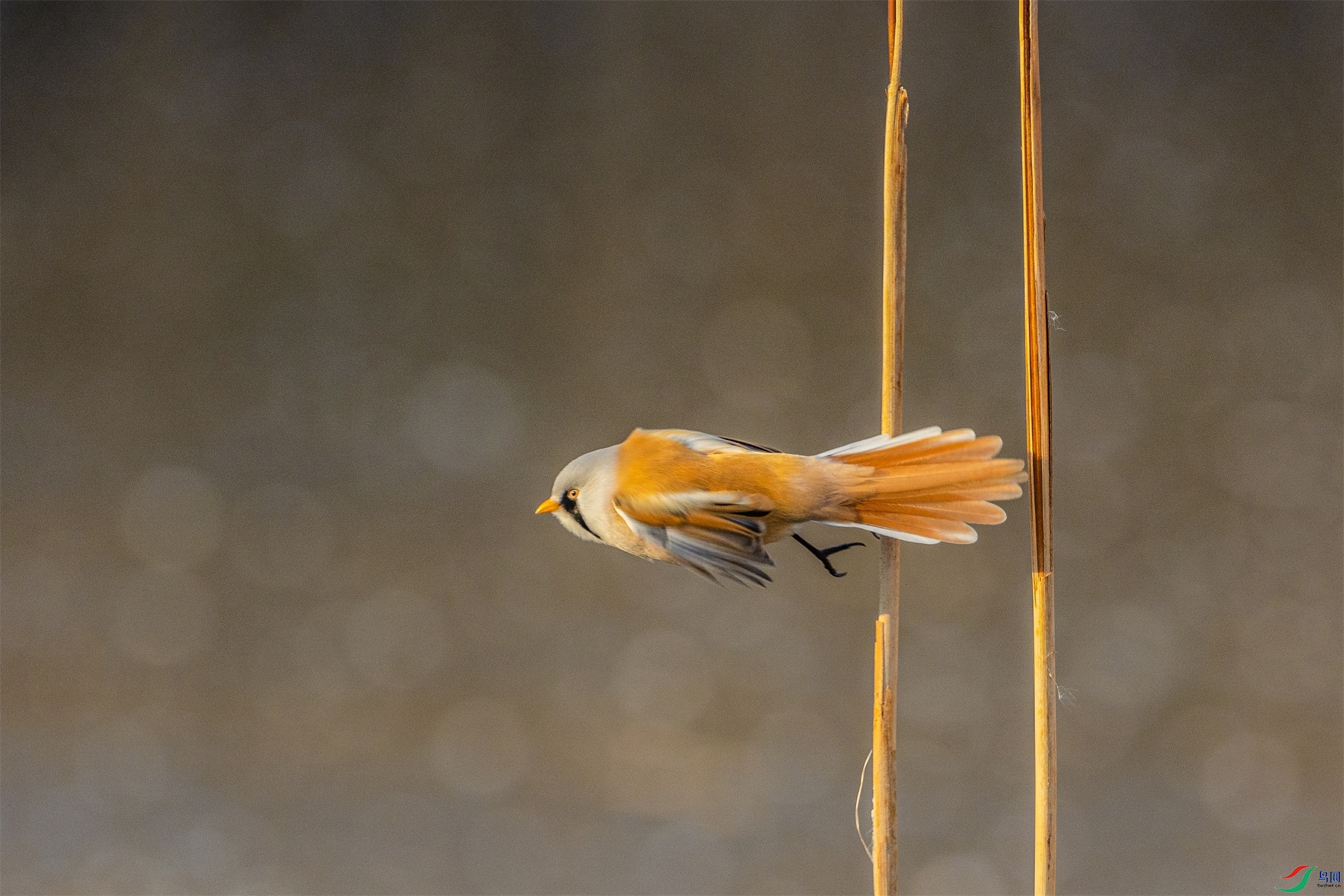 1K3A5030 ����1.jpg