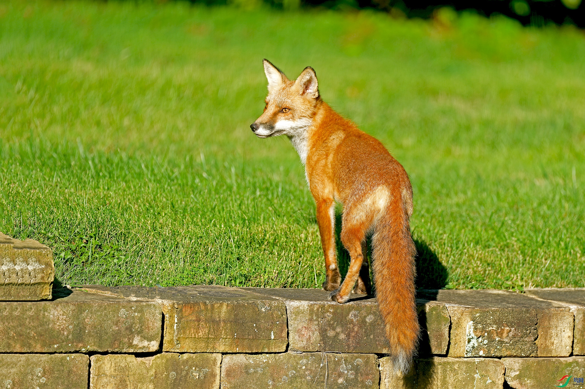 DSC01993--.jpg