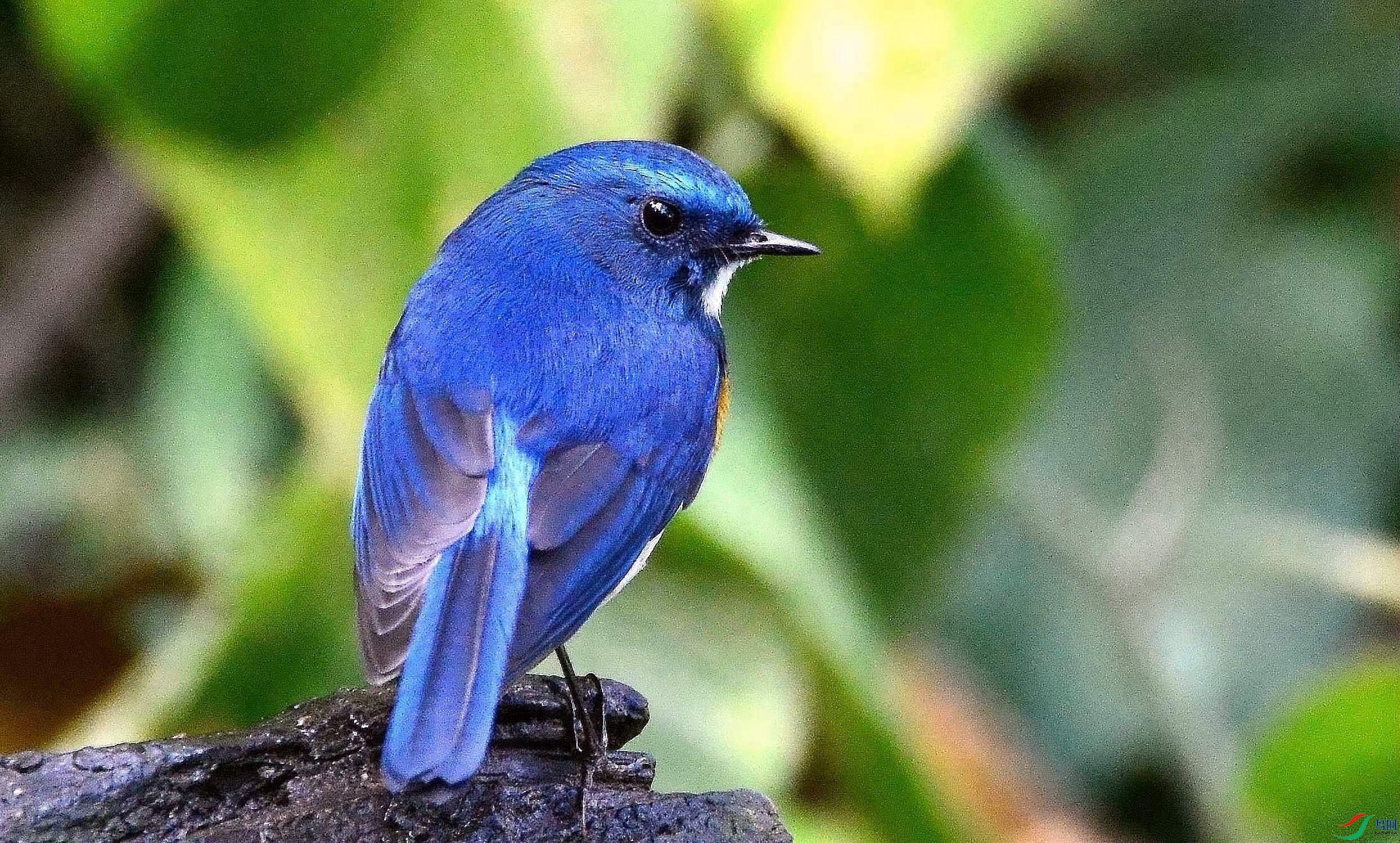 DSC_1499.JPG
