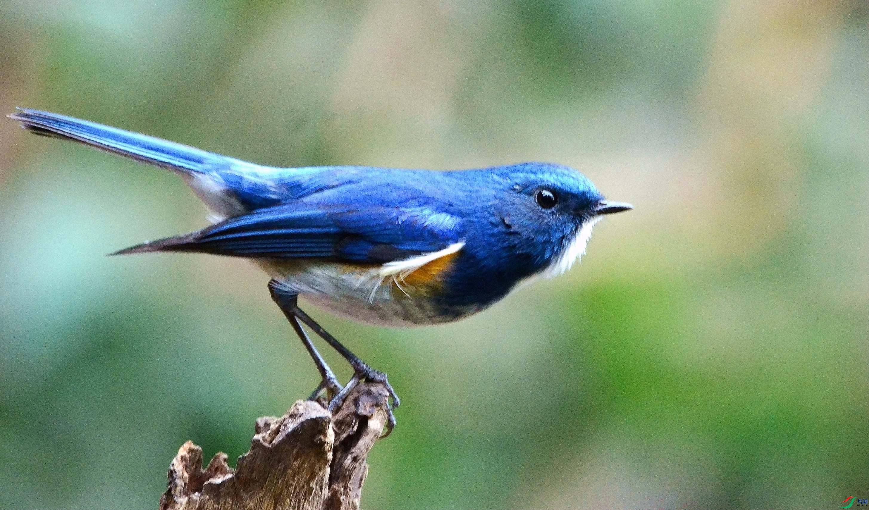 DSC_7403.JPG