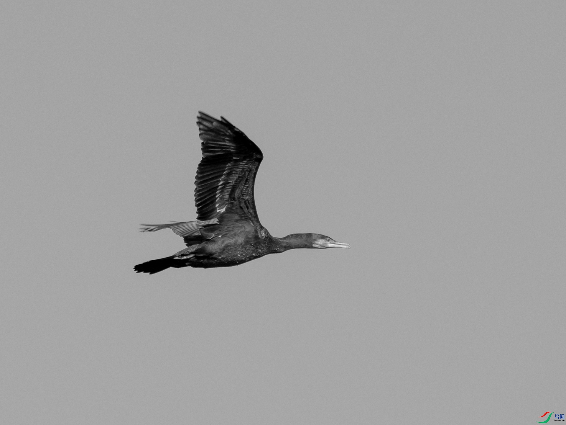 PB052998.jpg