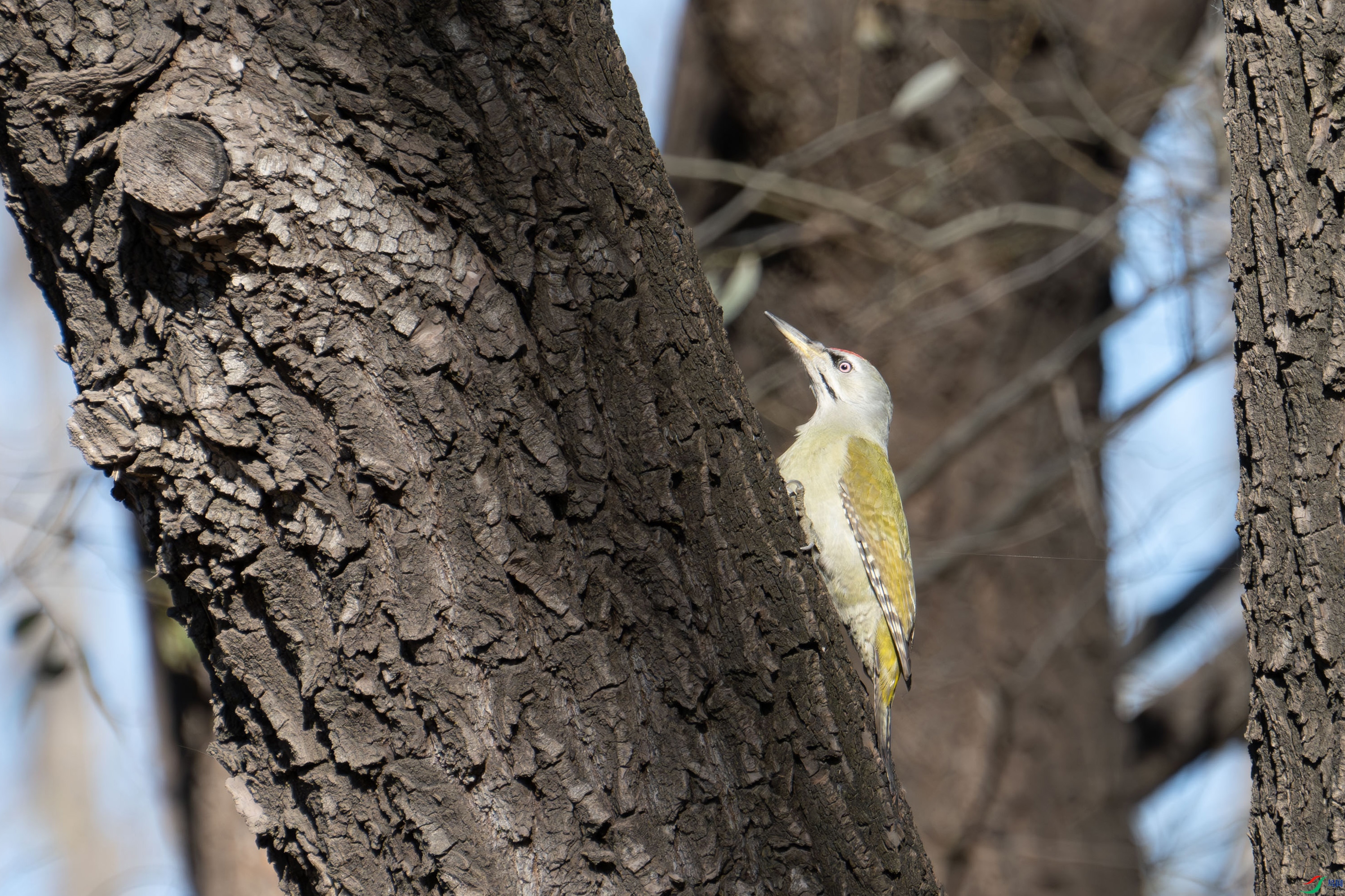 DSC_7179.jpg