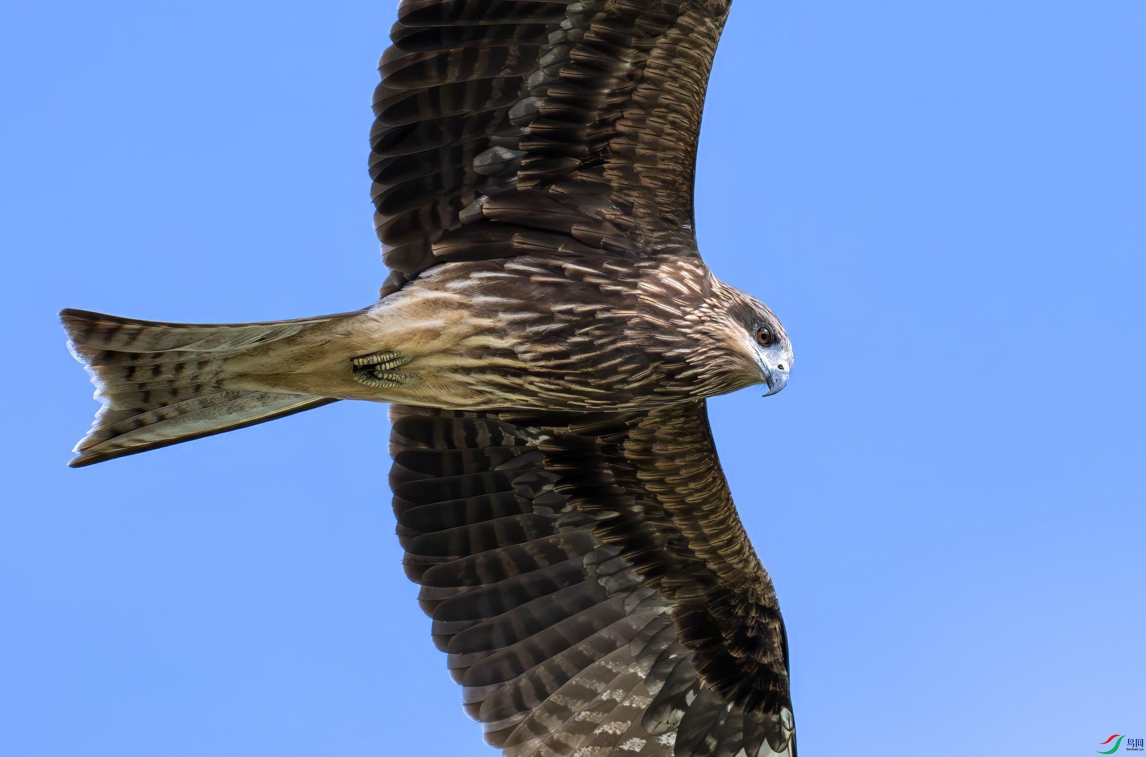 DSC_3417 ���� 2.jpg