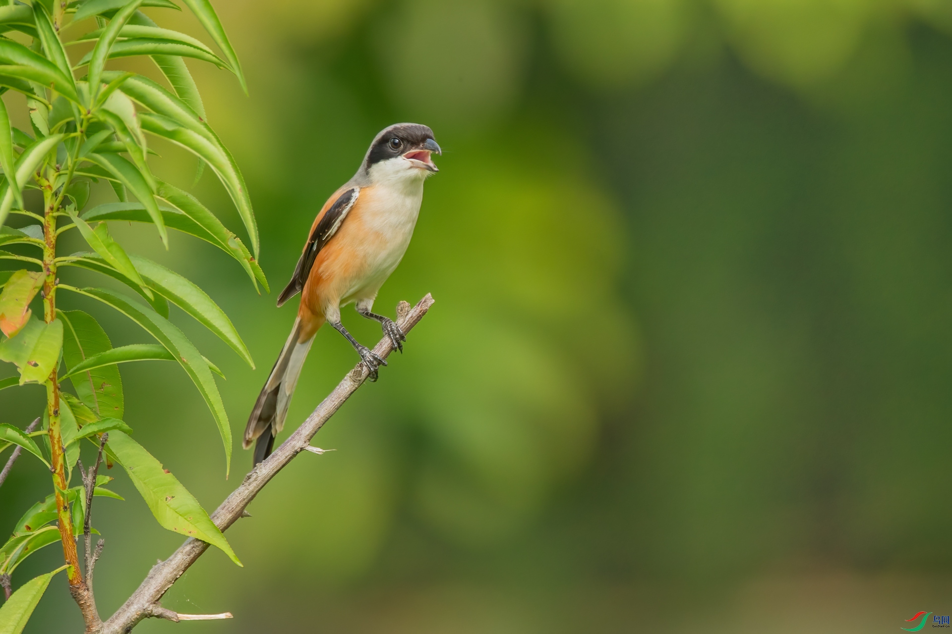 B86I8965 _����.jpg