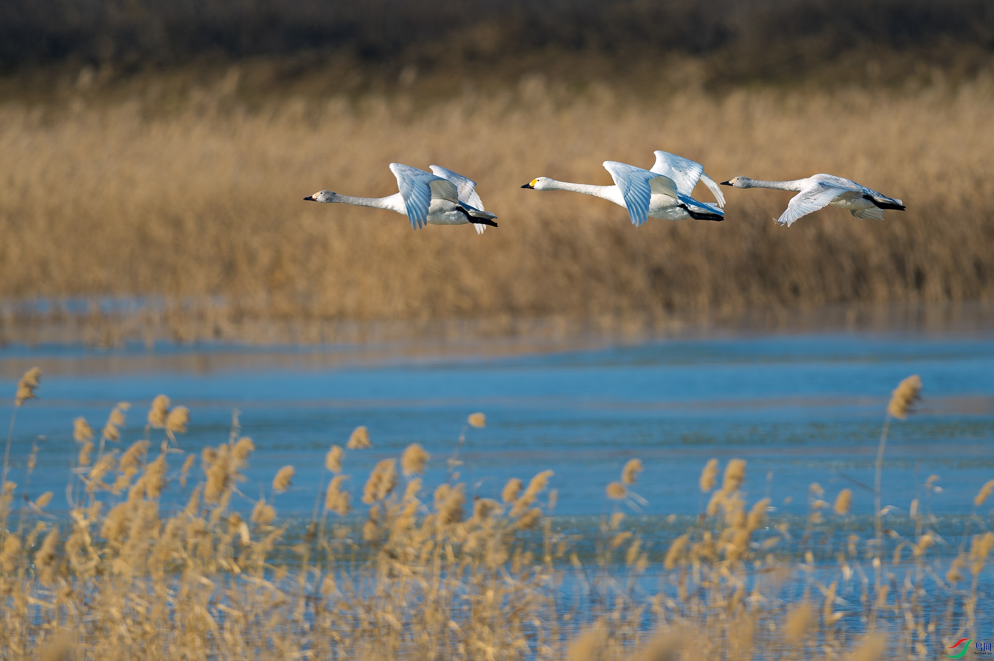 _DSC1044-����ǿ-NR ���� 2a.jpg