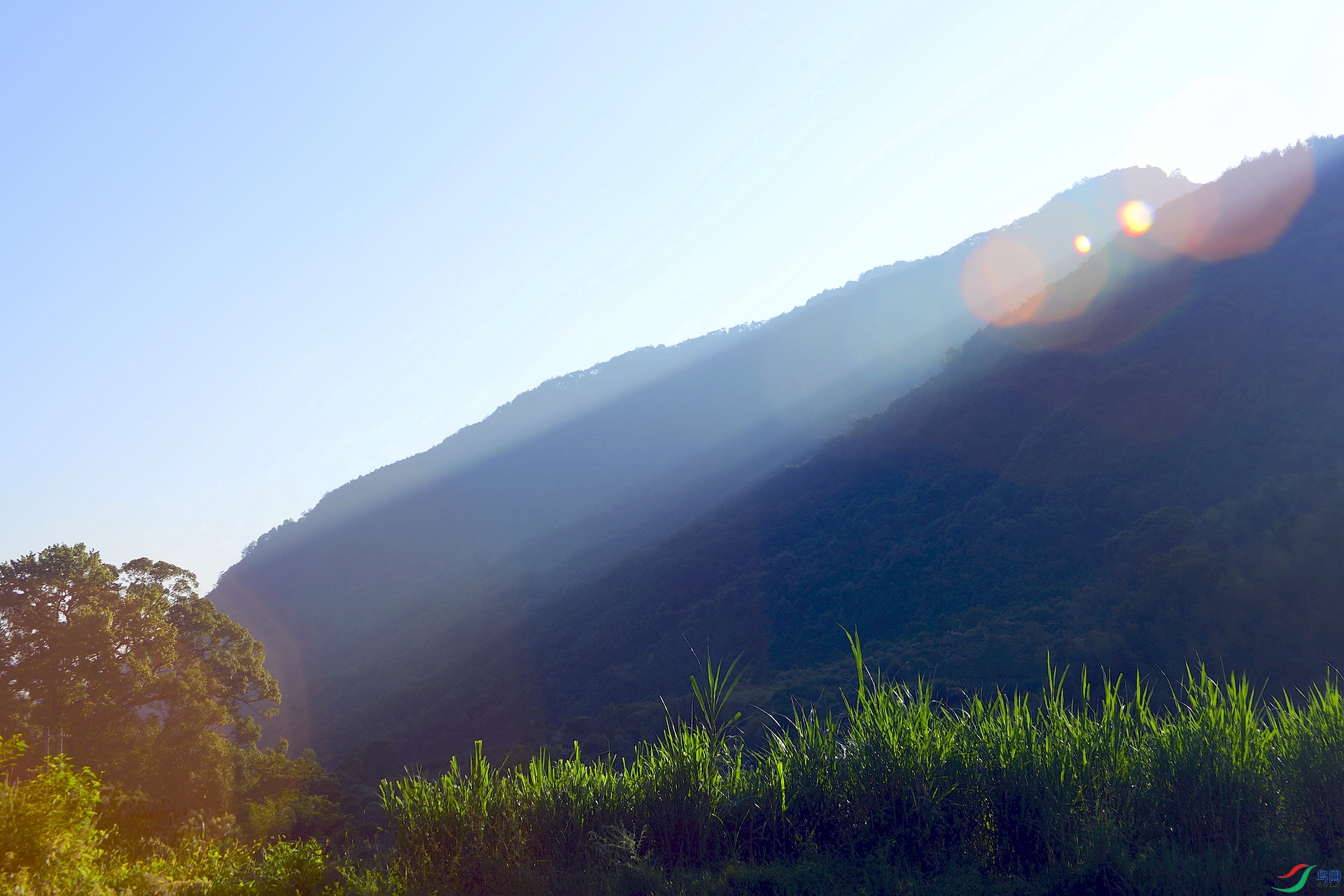 _D809855.jpg