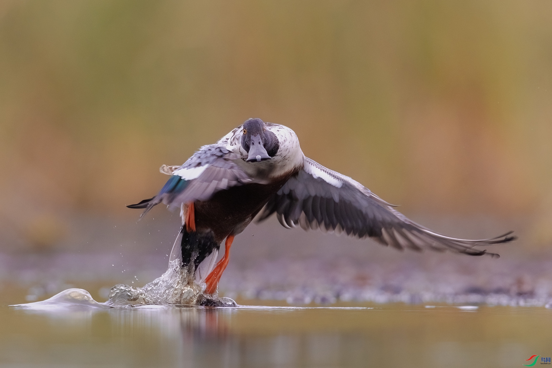 A75A8779-�༭ ����.jpg