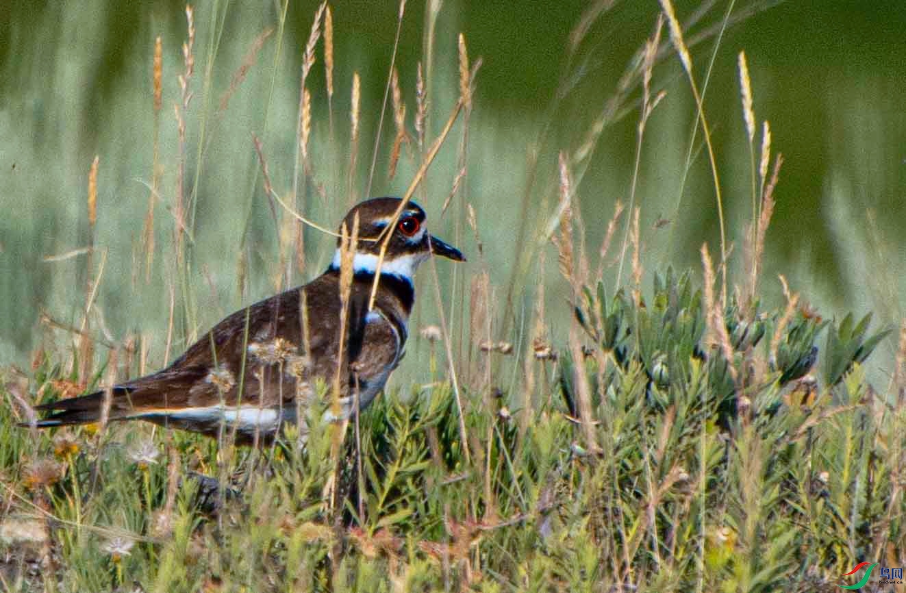 DSC_8809 ����.jpg