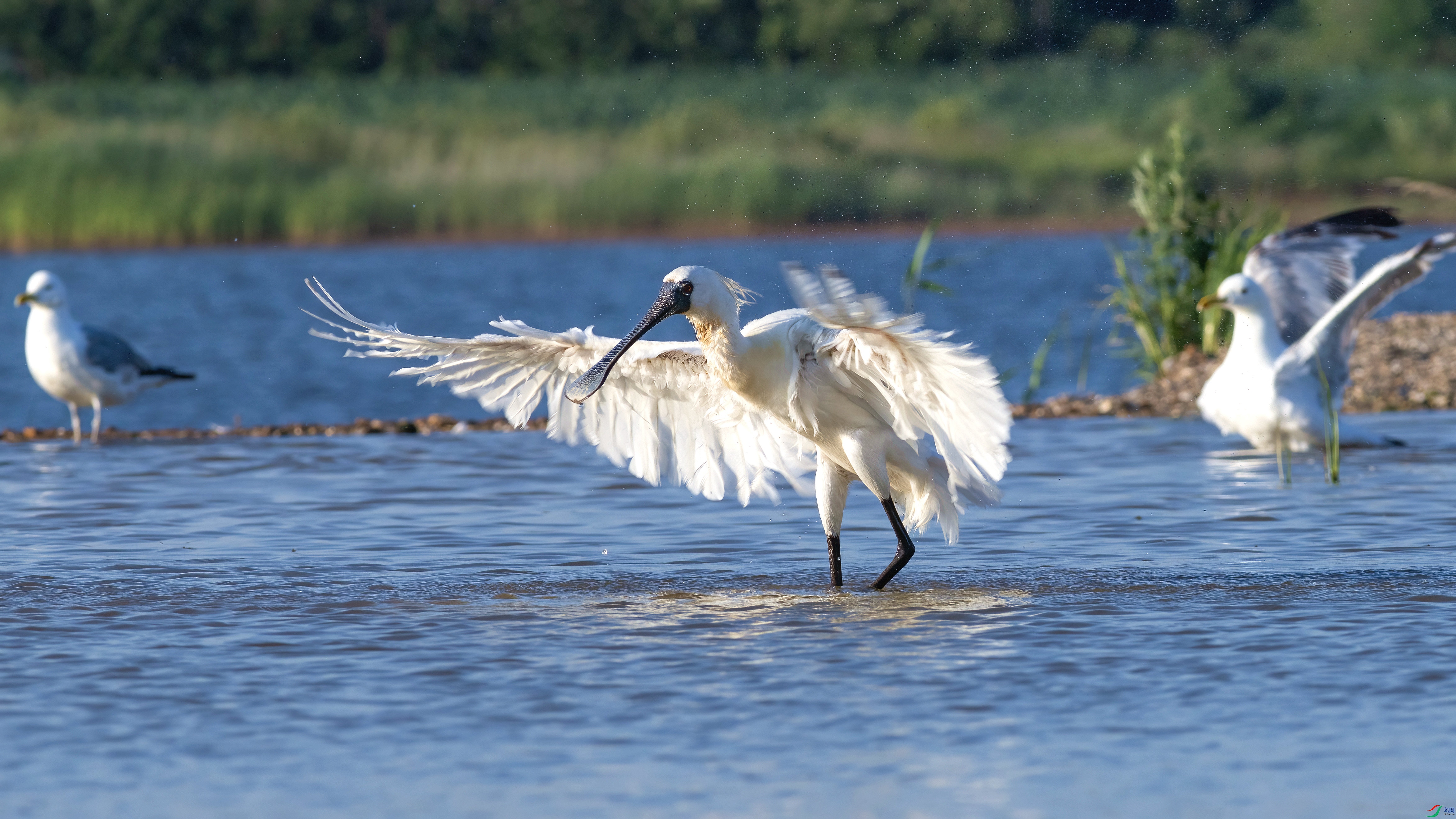 845A6981.jpg